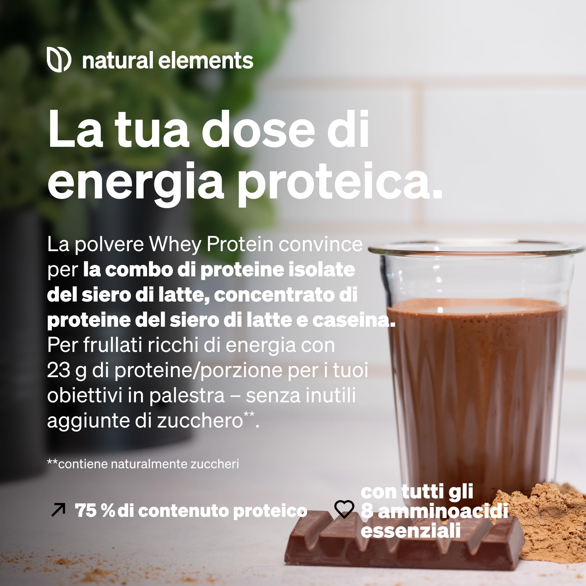 Polvere Whey Protein – cioccolato – 1 kg – 23 g di proteine per porzione – per il tuo sviluppo muscolare, ad alto dosaggio – prodotto e testato in laboratorio in Germania