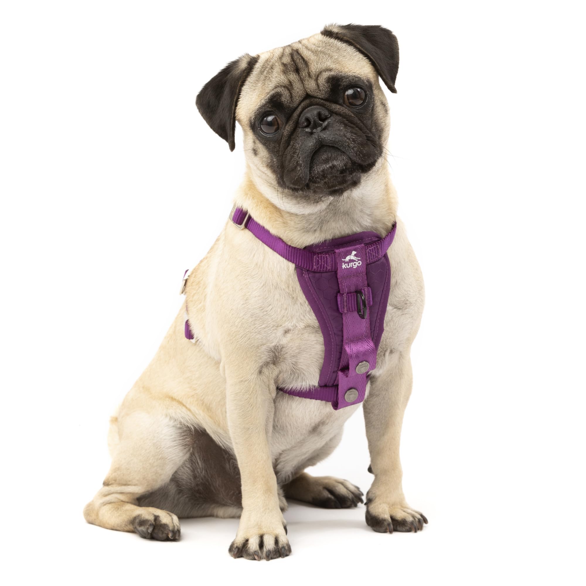 Kurgo Enhanced Strength Tru-Fit Dog Car Harness - Pet Travel Safety Harness - Crash Test Certified Fit - Five Point Adjustment - Secure Buckle - Padded Chest - Deep Violet - Small