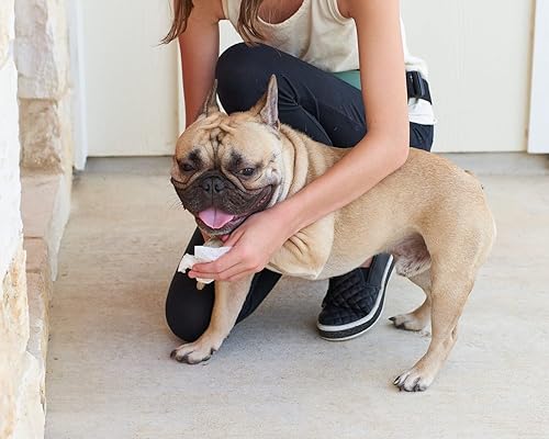 Miniatura 44 de Pet Parents® Pet WiPees™ - Toallitas multiusos para perros + piel y pelaje para mascotas, toallitas para perros, toallitas para perros y cachorros