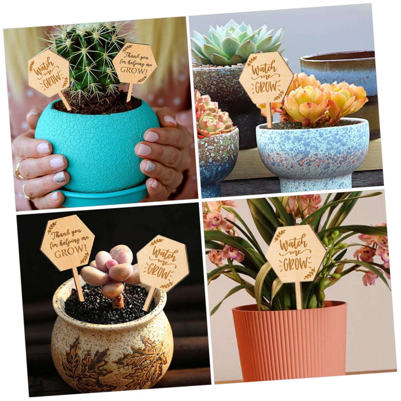 HANABASS 5 Ensembles Étiquettes Pour Plantes Marqueurs De Jardin Durables Pour Identifier Fleurs Plantes Pot Pour Magasins De Fleurs 40 Pièces * 5
