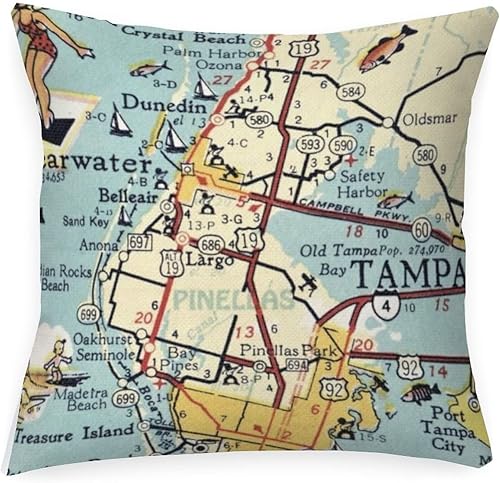 Pinellas County Florida Map - Fundas de almohada para exteriores, impermeables, de 20 x 20 pulgadas, fundas de cojín decorativas para exteriores,