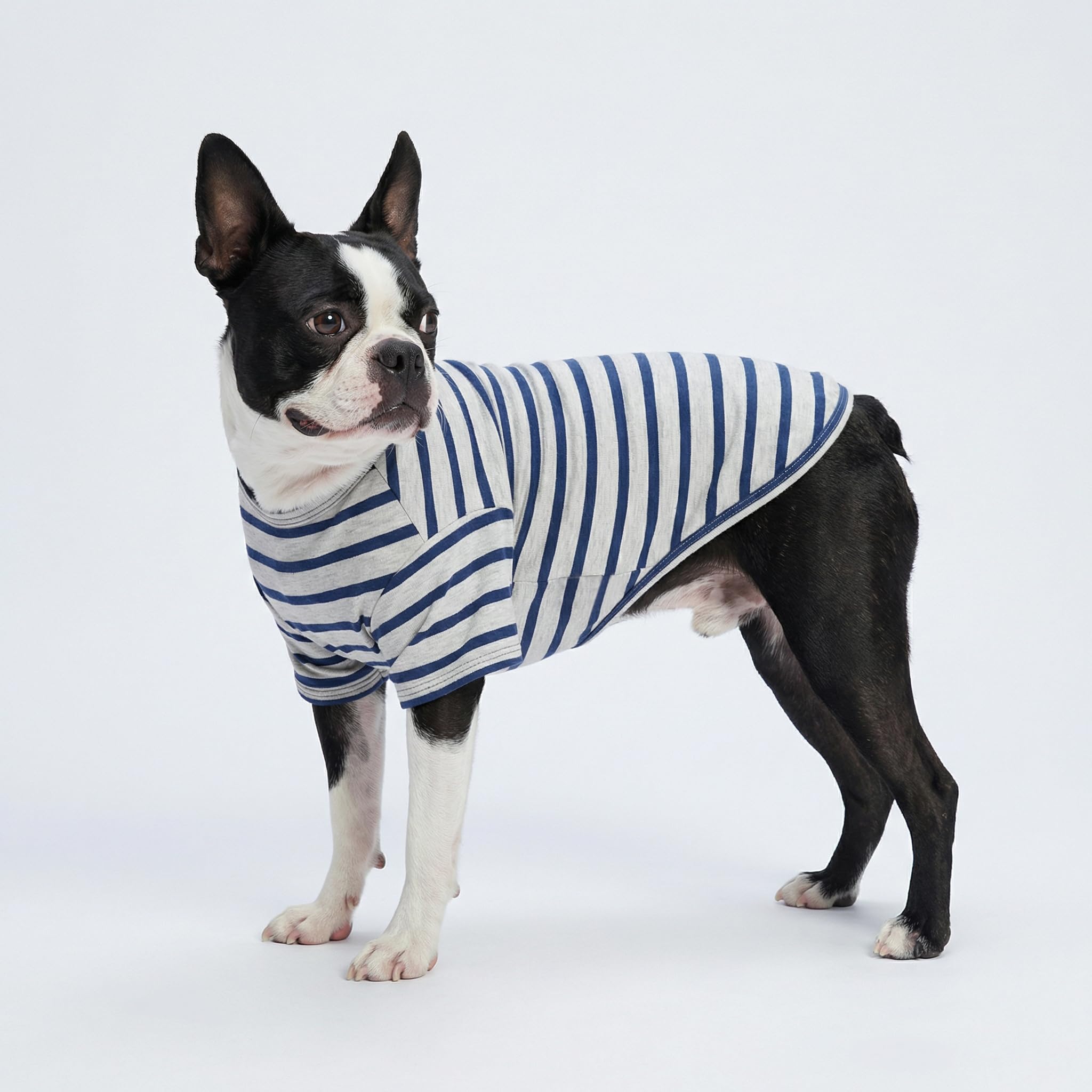 Fitwarm Paquete de 3 camisas de perro a rayas con bloques de color, ropa de verano para perros pequeños, camiseta transpirable y ligera para mascotas con mangas, traje de gato, rojo, azul, gris, XXL