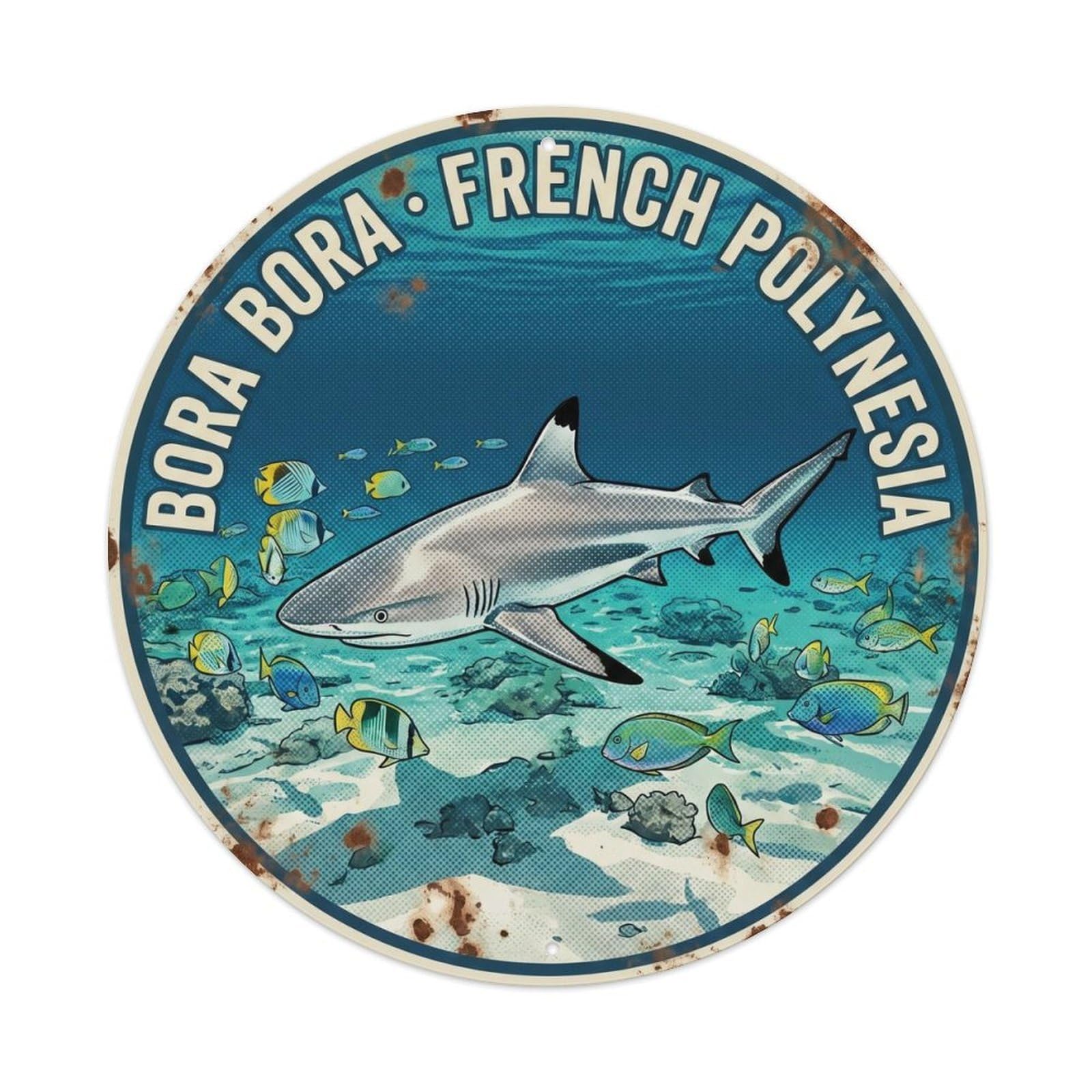 Olyhtr 8X8inch Classic Style Blacktip Shark Borabora Lagoon Marine Wildlife Travel Metal Tin Sign