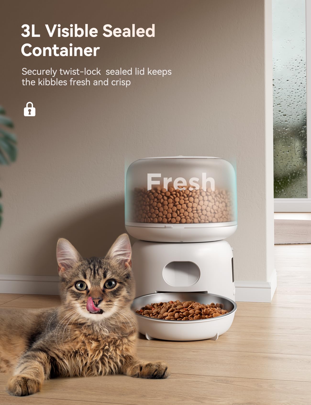 FEELNEEDY Distributore Automatico Cibo Gatti con APP, 2.4G WiFi Dispenser Crocchette Gatto fino a 10 Pasti/36 Porzioni al Giorno, Ciotole per Gatti in Acciaio Inox, 3L