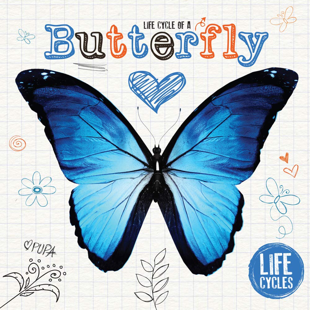Life Cycle of a Butterfly (Life Cycles)