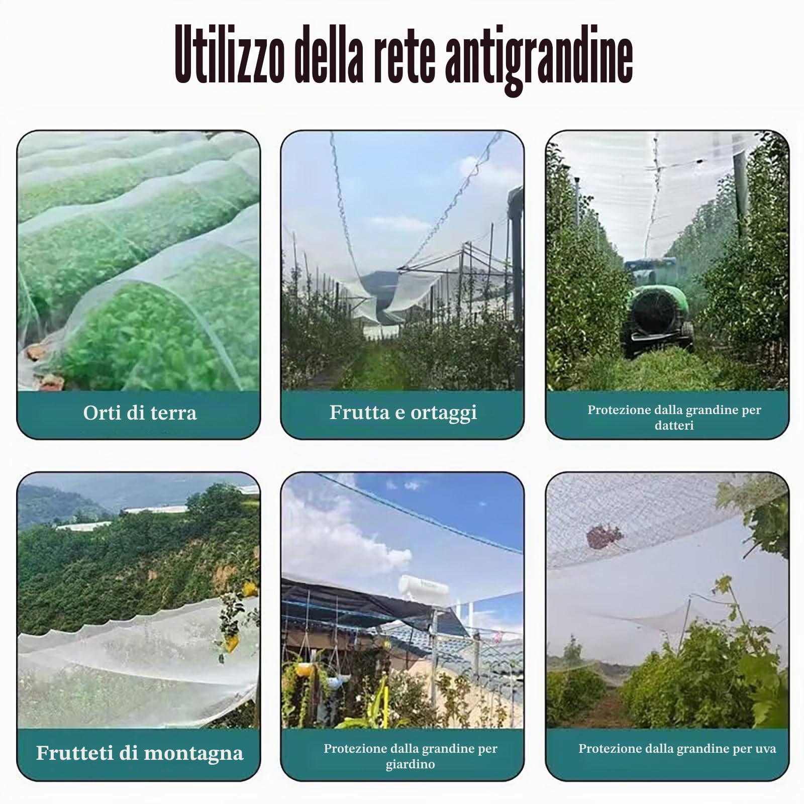 Rete Antigrandine per Orto, Telo Antigrandine Proteggere Coprire per Verdure, Frutta, Fiori e Piante, Resistenza allo Strappo, Maglia da 5 MM(2M x 5 M)