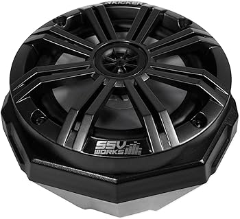 Amazon.com: SSV Works F3-2K Can-Am F3 2 Speaker Kit with Kicker
