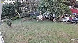 Review Image by Amanda Amanda