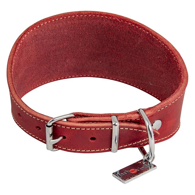 JACK AND VANILLA, Collar para Lebro para Perro, Modelo Piel Negrita, Color Rojo, Talla 37 cm