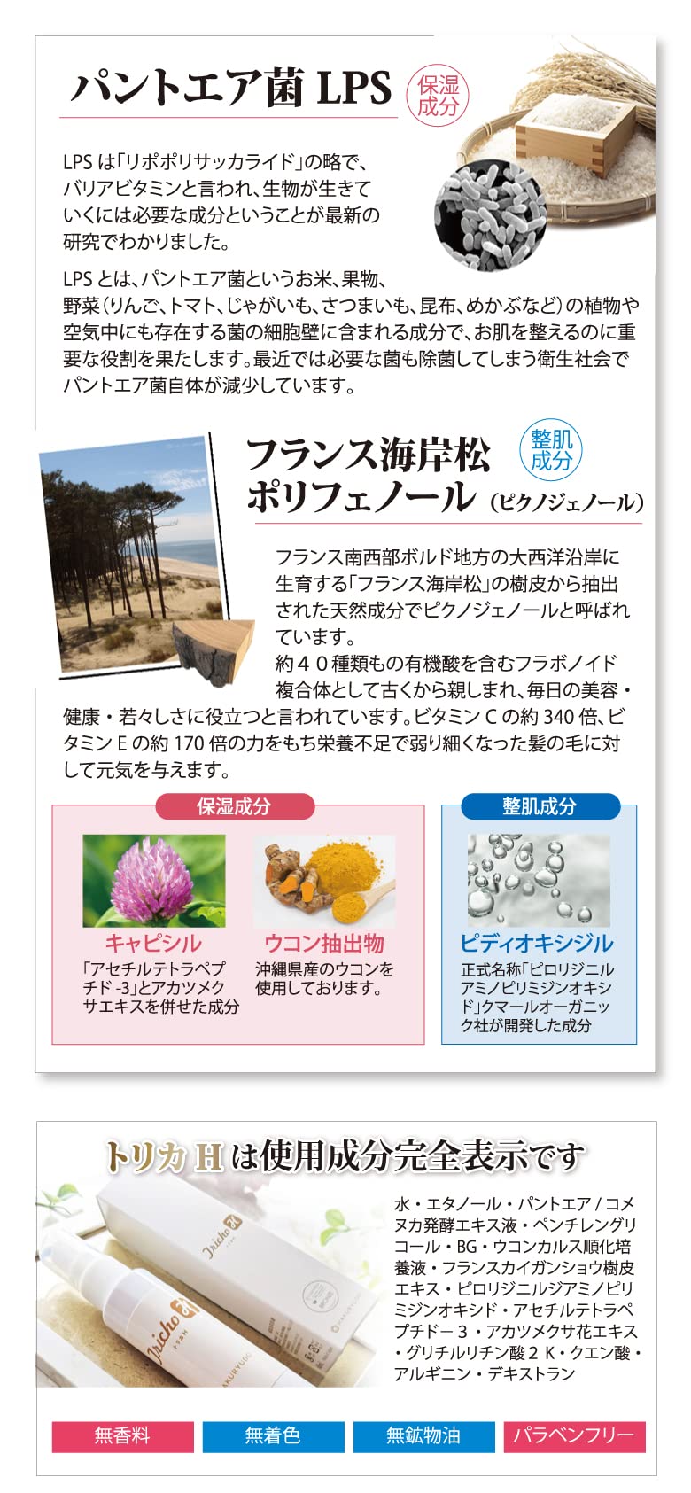 Amazon.co.jp: トリカH＆おもてな紙セット 博龍堂 トリカH トリカ 