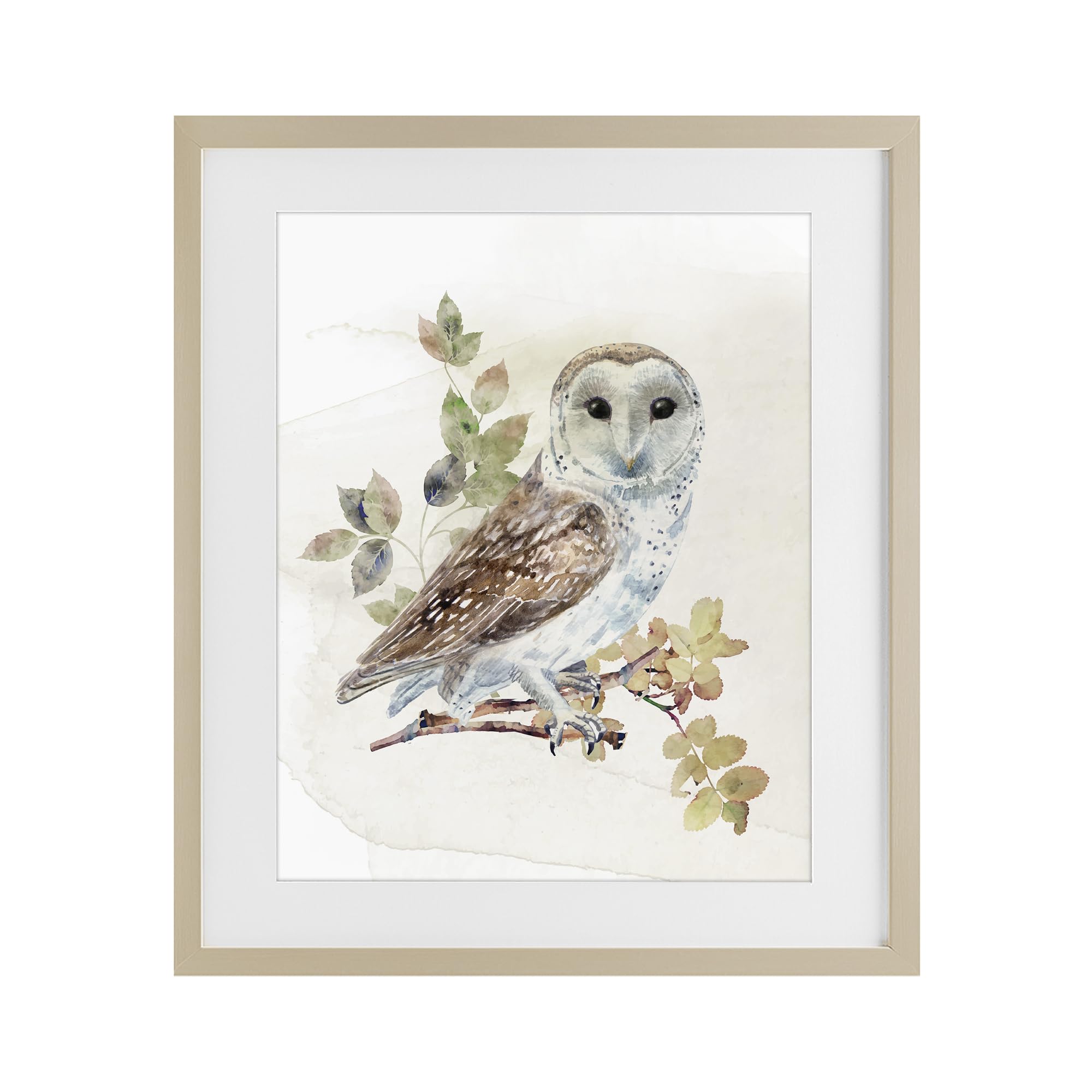 Stupell Industries 'Owl Among Autumn Leaves', Framed Print Under Glass, Brown, 17 x 21 Inches, Easy to Hang and Sturdy, Made in USA, by CAD Designs