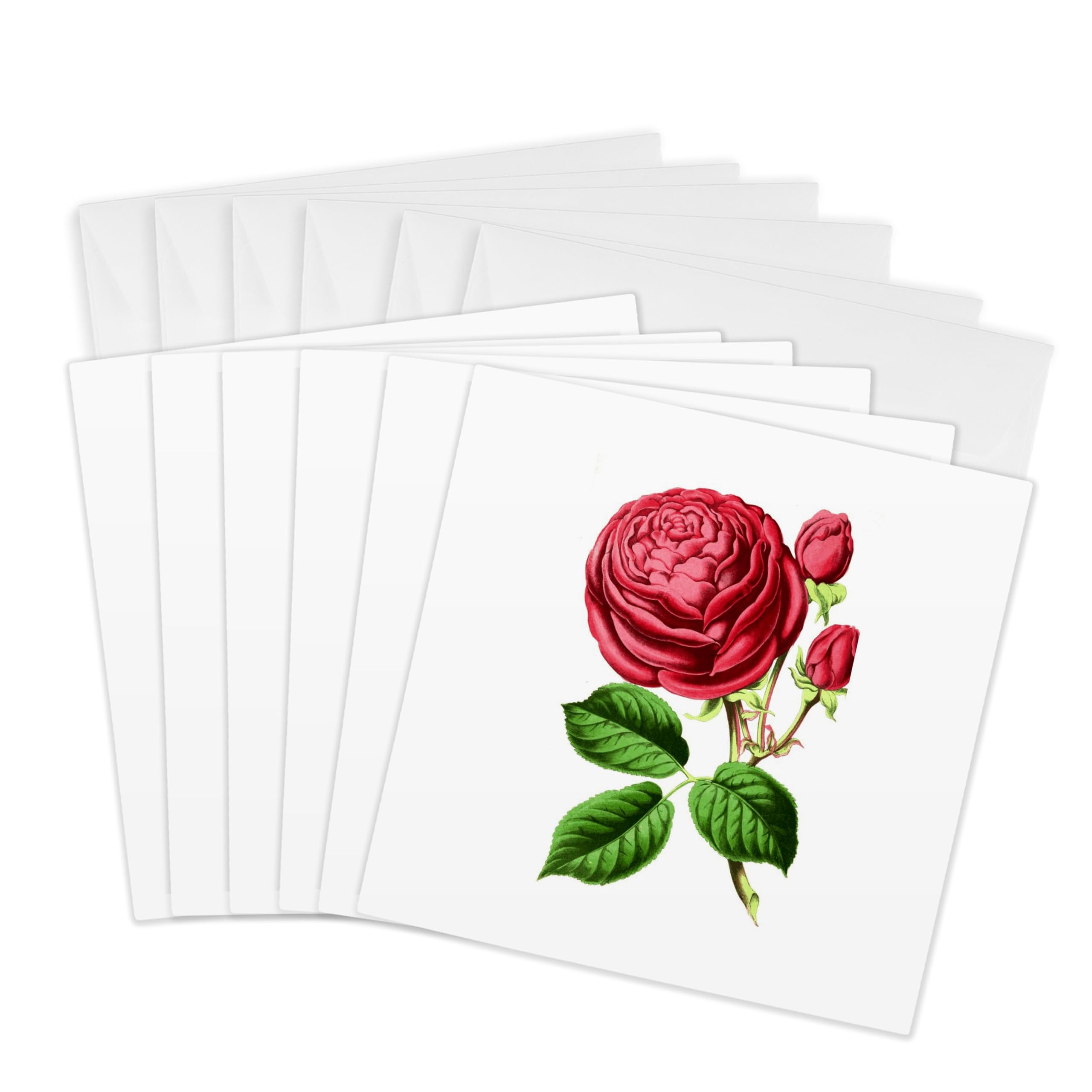 3Drose Red Rose - Greeting Cards, 6 by 6-inches, Set of 6 (gc_11144_1)
