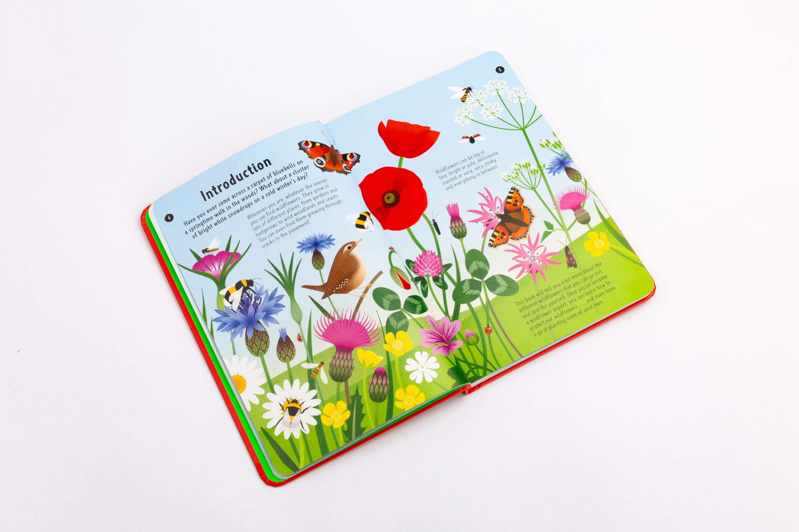 National Trust: Out and About: Wildflower Spotter: A children's guide to 65 different wildflowers