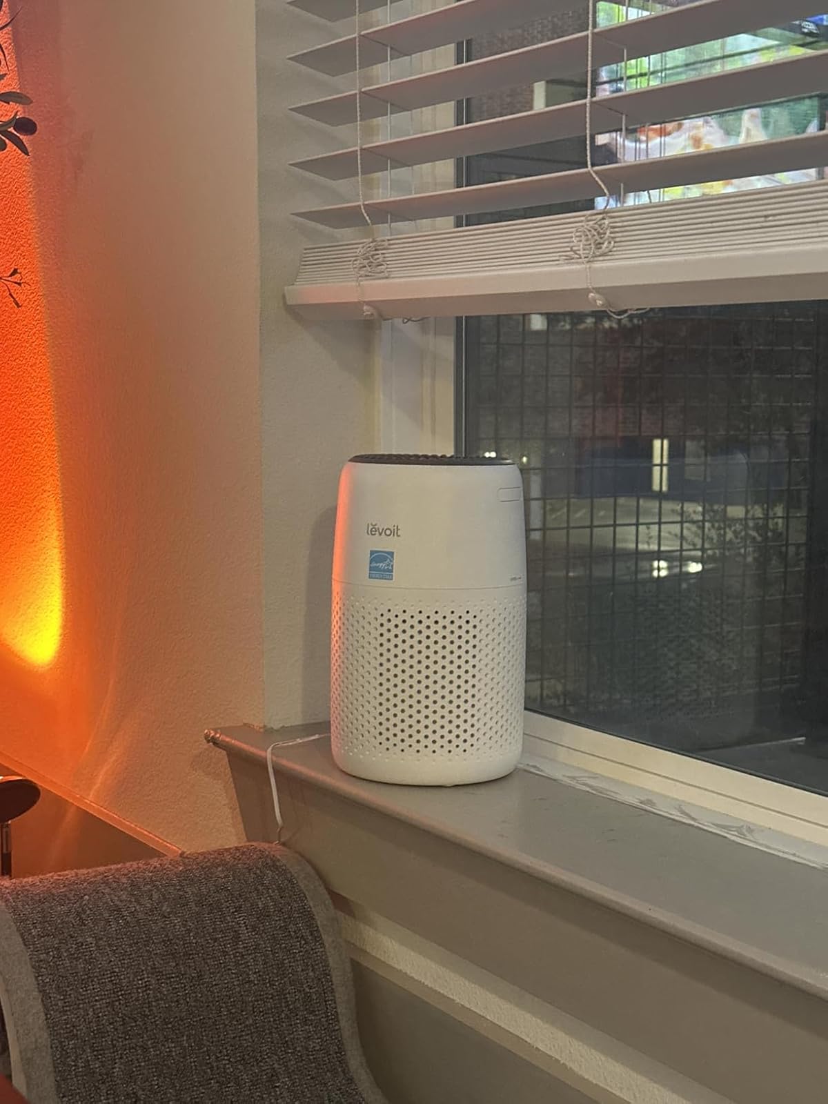 Levoit air purifier with cats in room