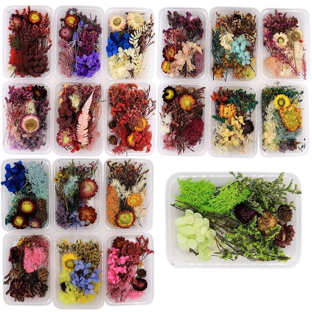 ARTOOL Assorted Dry Flower Box for Resin Art, Decoration, Art & Craft DIY Resin Art Jewelry, Pack of 1 (Assorted Colour / Random Box (1)-image-29