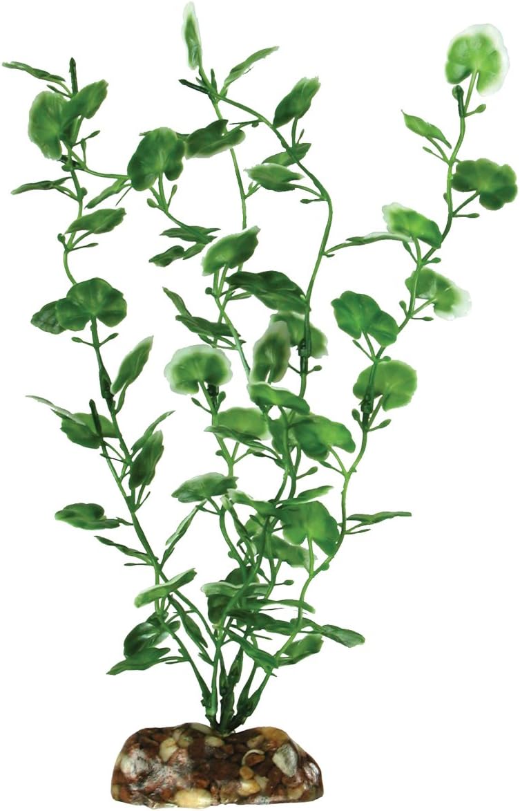 Aqueon 09809 Begonia Aquarium Plant, 9-Inch