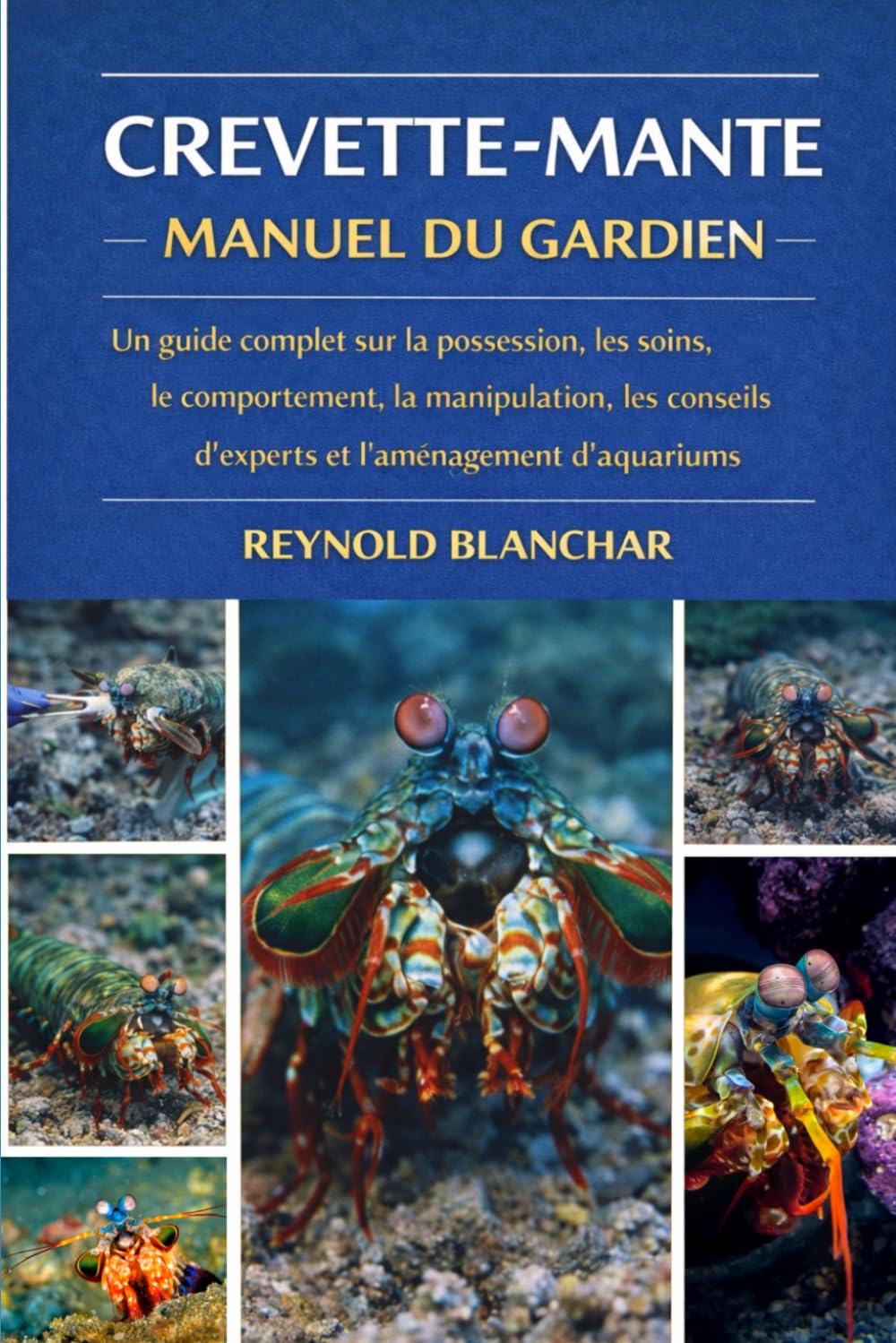 CREVETTE-MANTE: Un guide complet sur la possession, les soins, le comportement, la manipulation, les conseils d'experts et l'aménagement d'aquariums