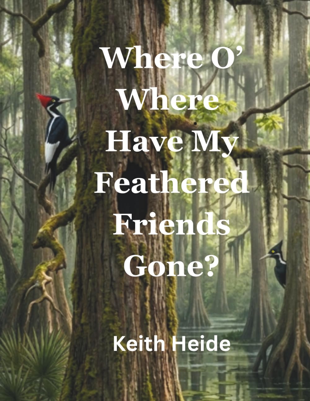 Where O' Where Have My Feathered Friends Gone (Ivory Bill Products - True Life Encounters - Natures Secrets)