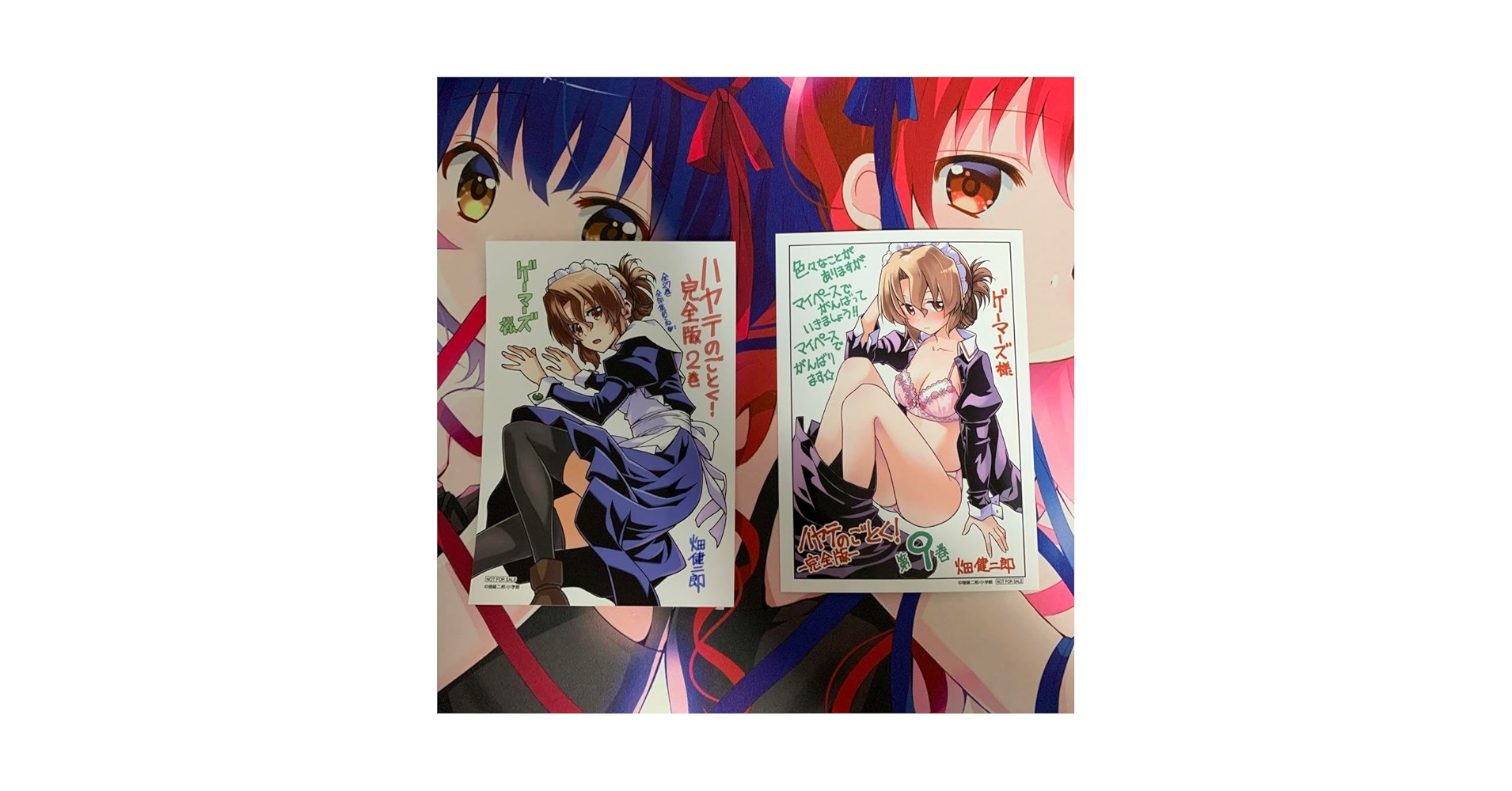 ハヤテのごとく！完全版　1〜19巻　ゲーマーズ特典コンプリートセット ハヤテのごとく! 完全版(19) ゲーマーズ特典 A4クリアファイル