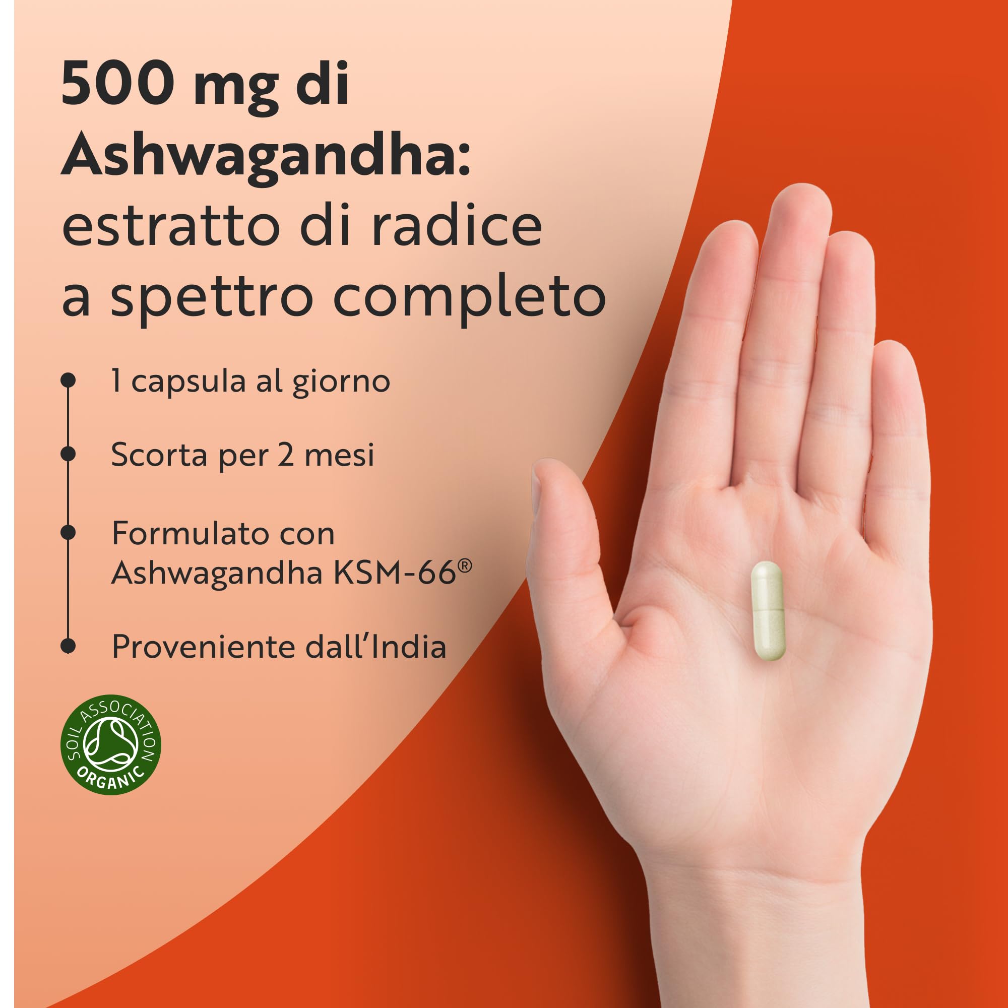 Nutravita Ashwagandha Bio 500mg - 60 Capsule Vegane - Integratore Ashwagandha KSM-66 Pura - Bio Certificata Ashwaganda - Withania Somnifera (Ginseng Indiano) - Capsule di Ashwaganda Polvere Estratta