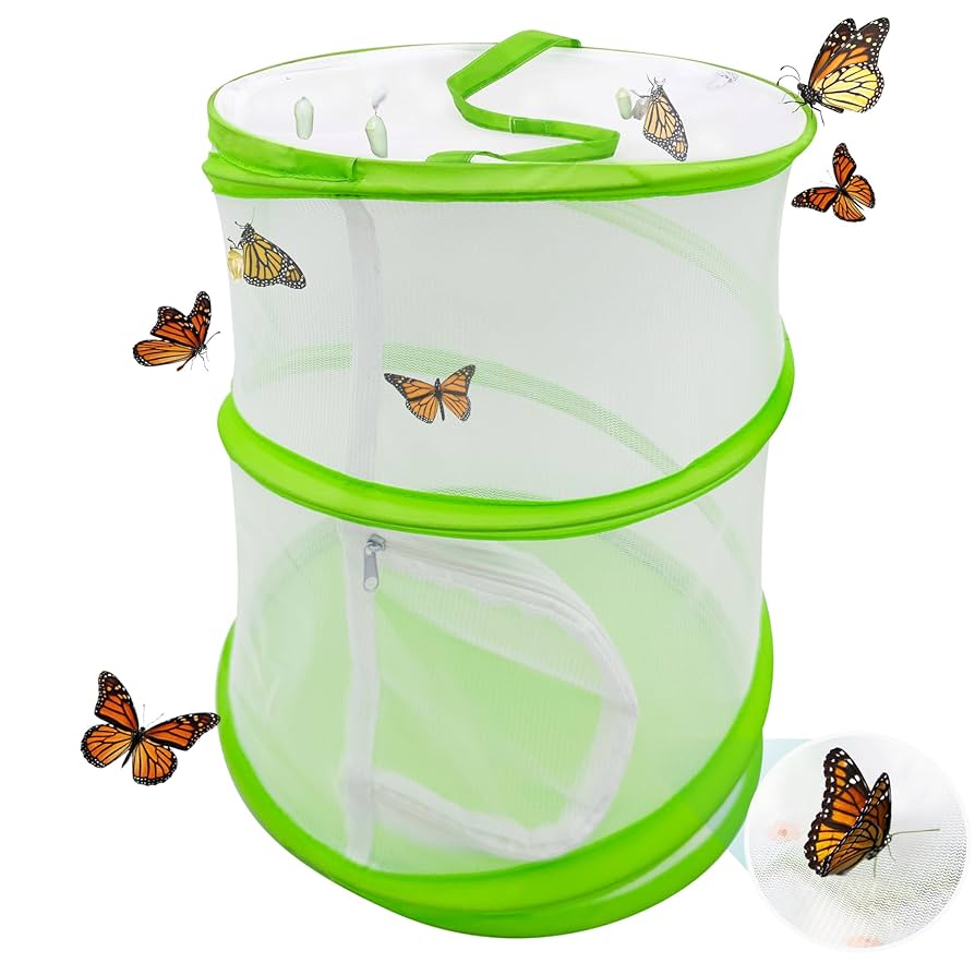 BUTTERFLY - Mea Amazon.com : RESTCLOUD Insect and Butterfly Habitat Cage