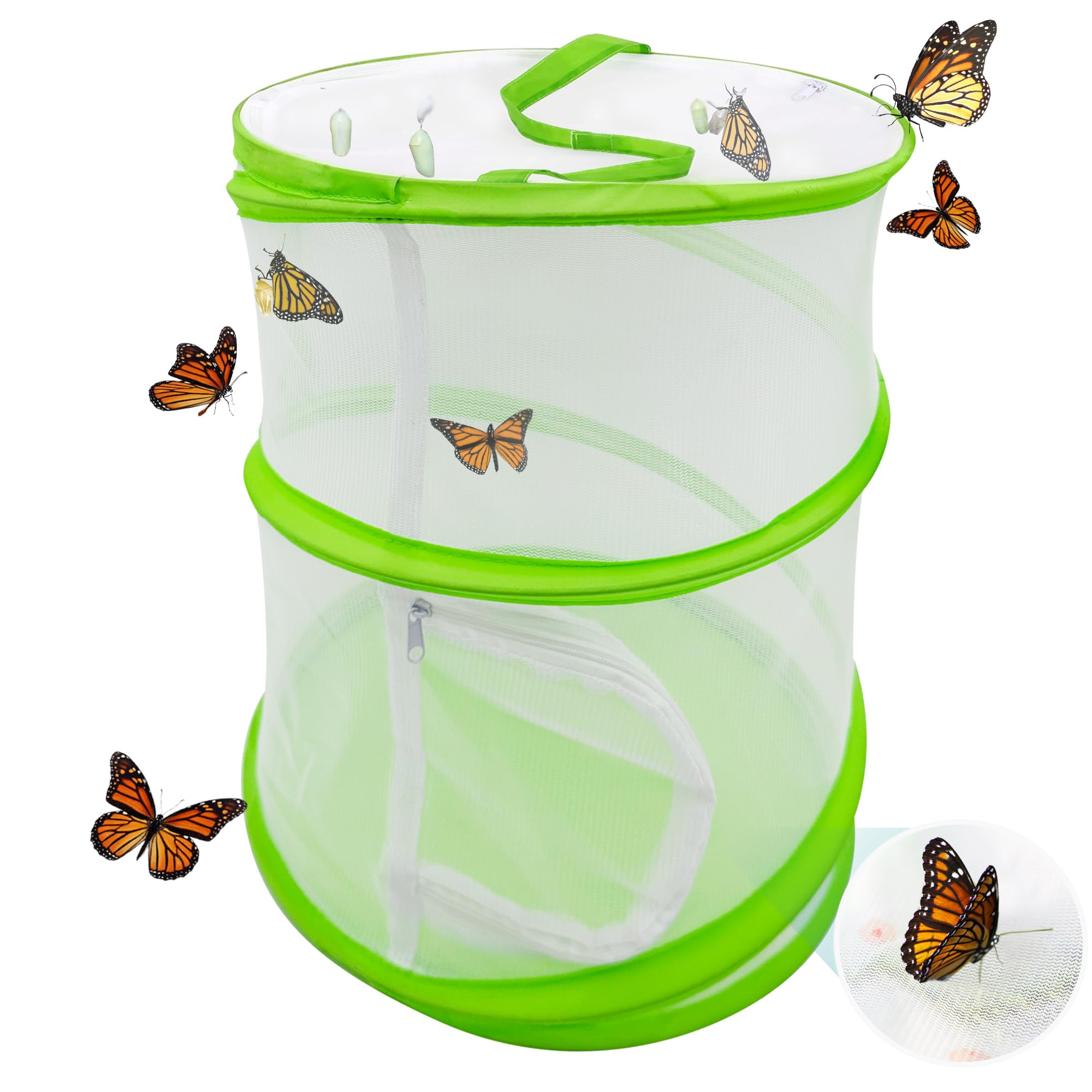 Snapklik.com : Butterfly Habitat Mesh Cage12