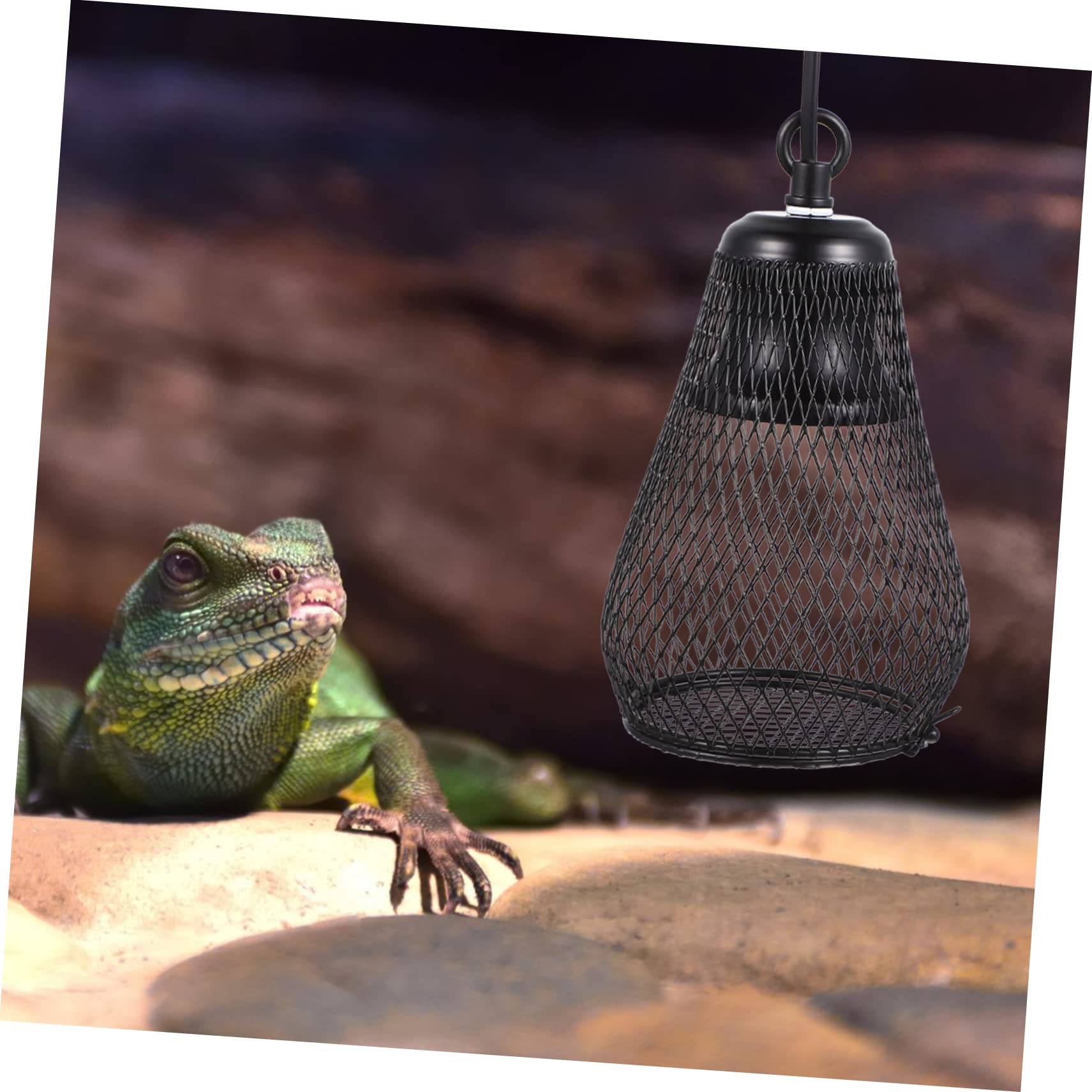 COLLBATH Couverture De Lampes Chauffantes pour Reptiles Antibrûlure Compatible avec Tortues Lézards Hamsters Accessoire pour Terrarium