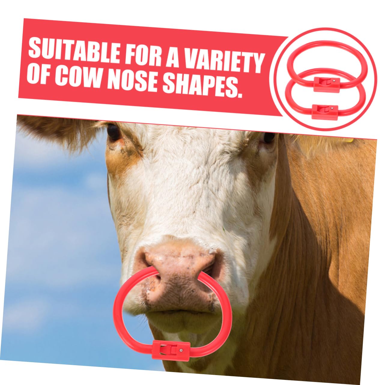 Amazon.co.jp: JEWEDECO 2個 ブルノーズリング 家畜牛の鼻輪 サークル