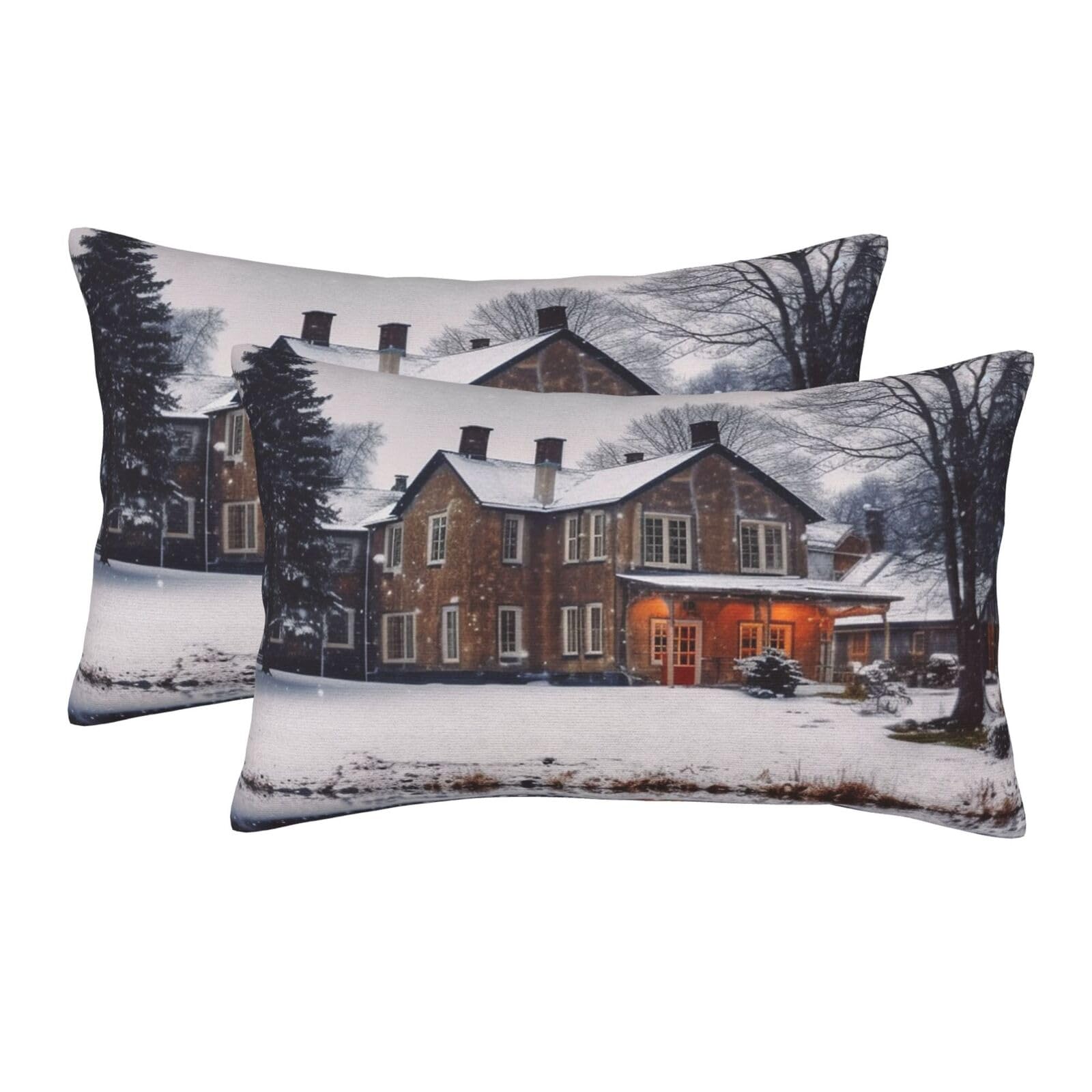 2 Pack Standard Size Pillow Cases for Hair and Skin Soft Breathable Pillow Case Covers with Hidden Zipper Winter Farmhouse Pillowcase 16"x24" Pillow Cover for Sleeping Gift