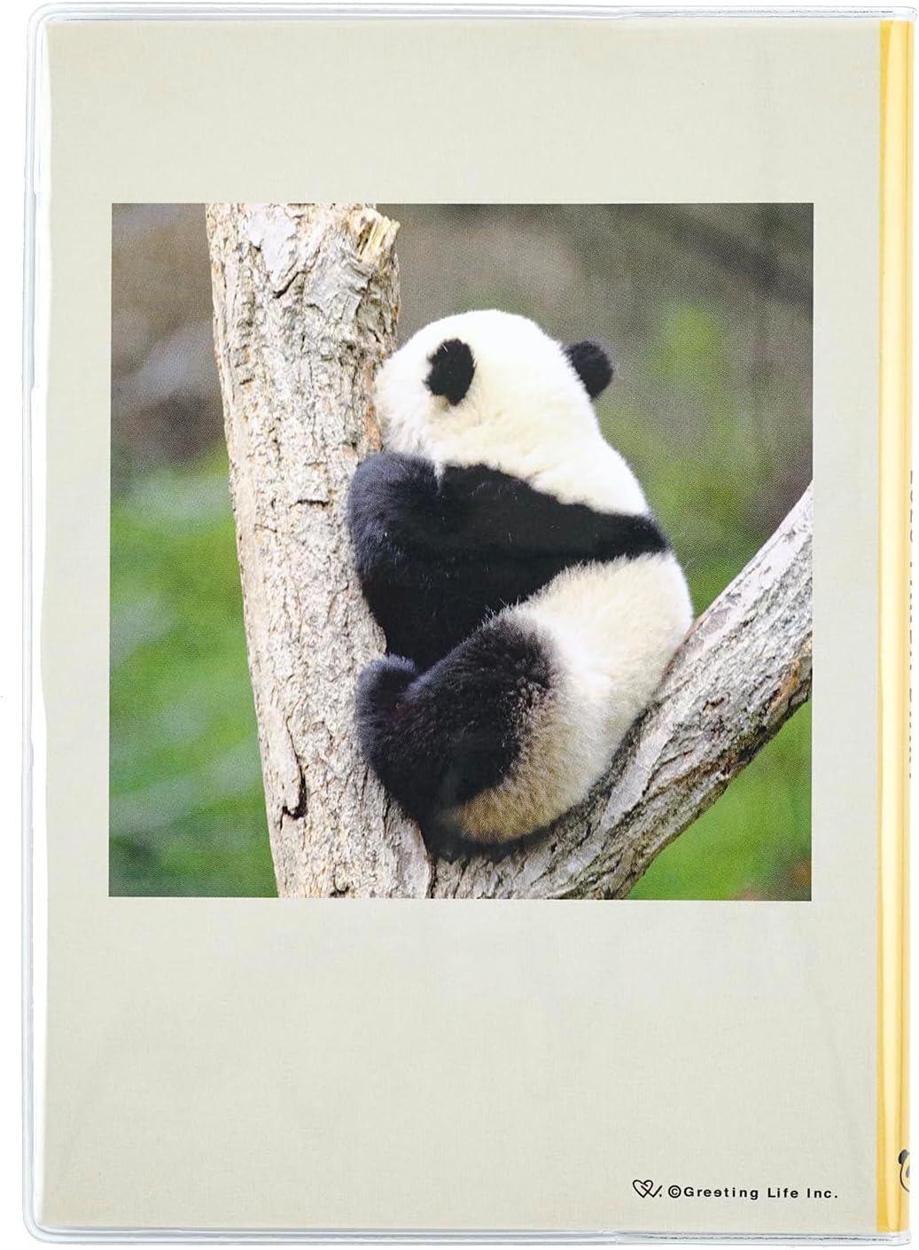Greeting Life Panda 2025 Notebook, B6, Wicley, Softcover, Yellow, CD-1309-PA (Begins January 2025)