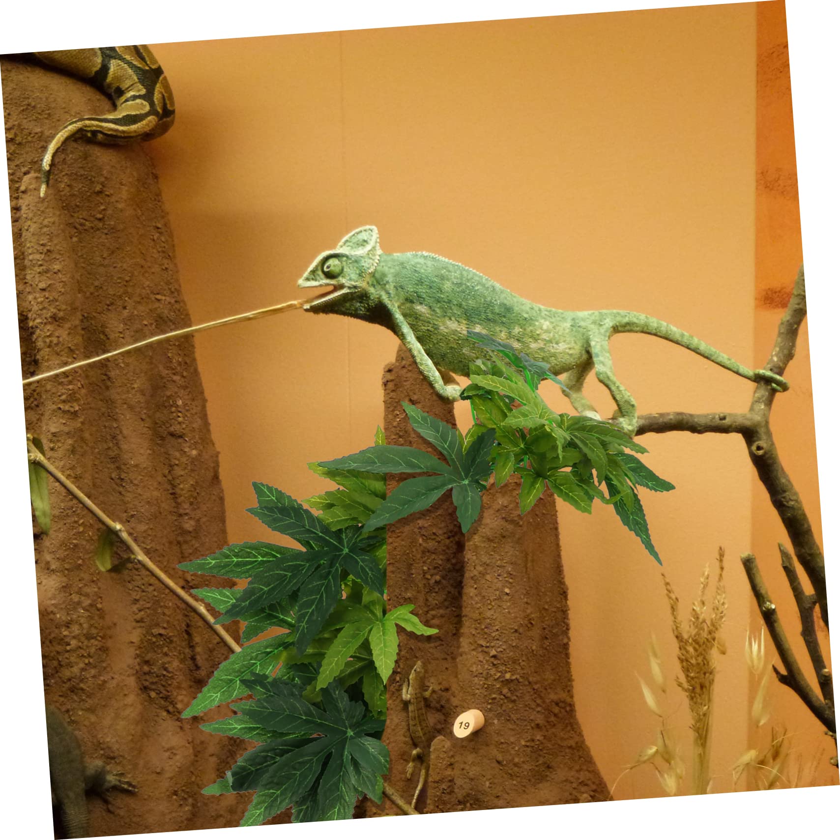 VALICLUD Vigne Artificielle Suspendue pour Terrarium Reptiles et Gecko Plante Décorative Rotin Faux pour Habitat Jungle avec Imperméables