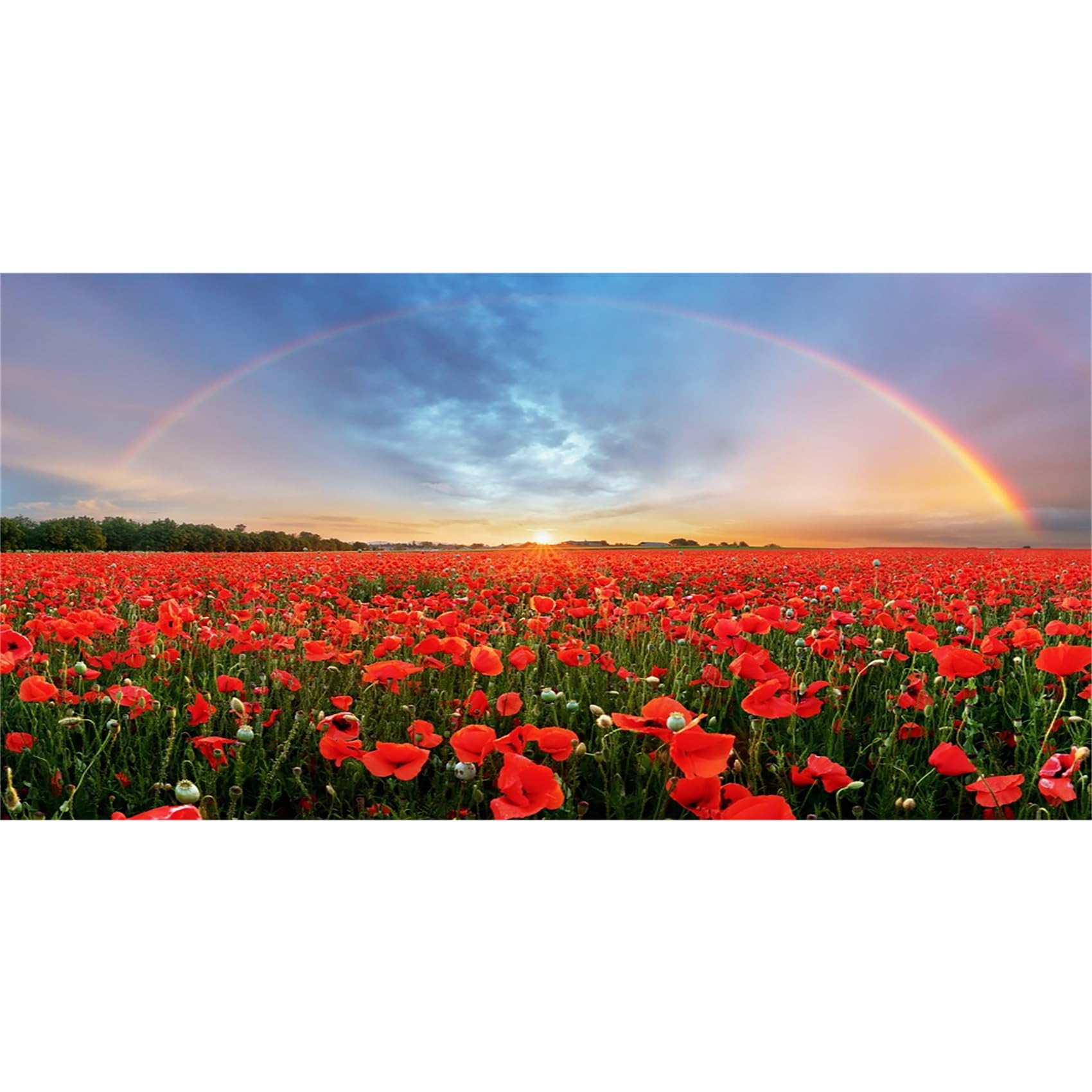 Baocicco 20x10ft Background for Sunset Rainbow Sky Red Poppy Field Photography Backdrop Outdoor Wedding Backdrop Spring Natural Scenery Wedding