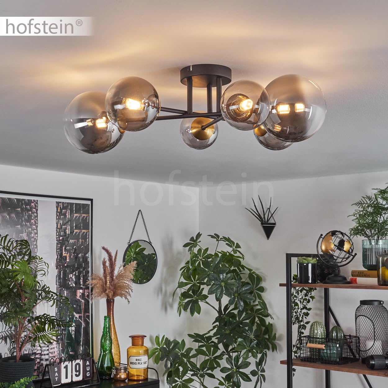 HOFSTEIN Deckenleuchte Chehalis, 6-flammige Deckenlampe aus Metall/Glas in Schwarz/Gold/Rauch/Klar, Leuchte im Vintage-Design, Ø Schirme 10; 12; 15 cm, G9, Esszimmer, Schlafzimmer, Wohnzimmer, Küche