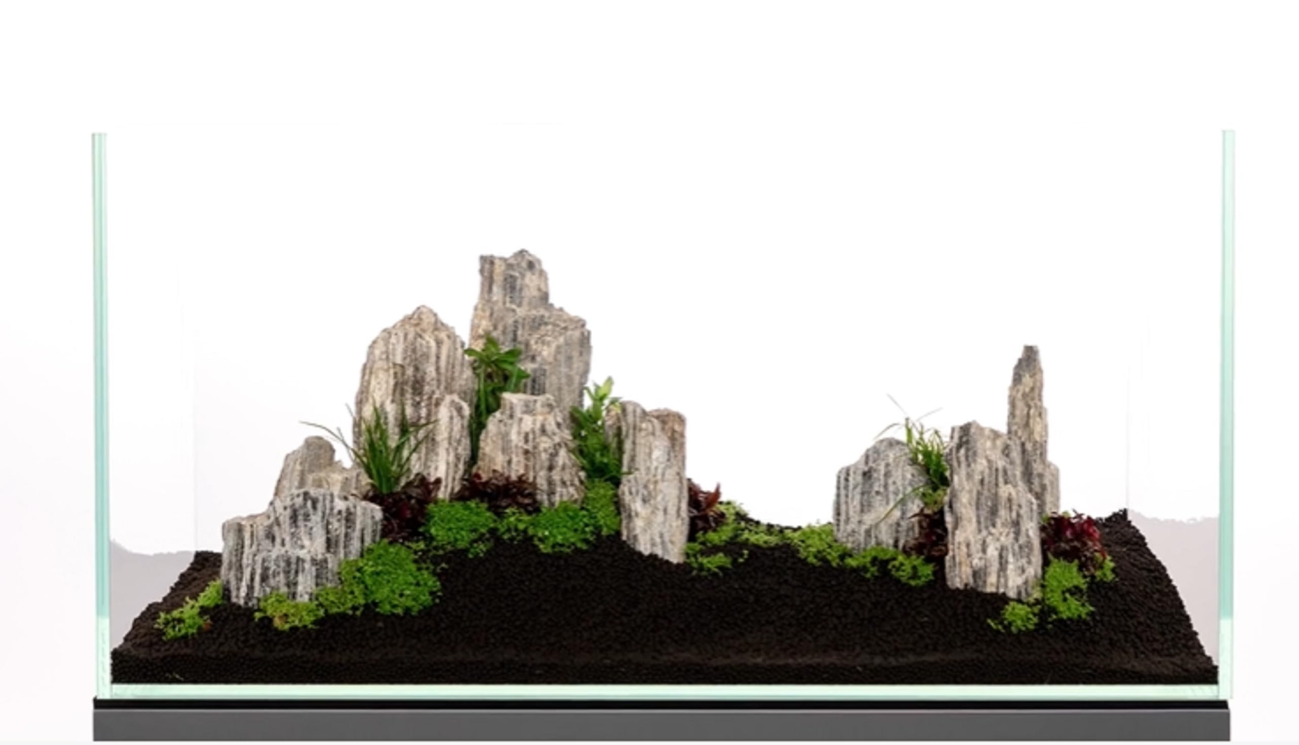 RUKDA® Natural Glimmer Wood Rock | Grey Shimmering Layered Stones with Mica Effect | Aquascaping, Planted Aquarium, Terrarium, Fish Tank, Garden & Home Decor | 100% Natural Stones (0.9, Kilograms) 3