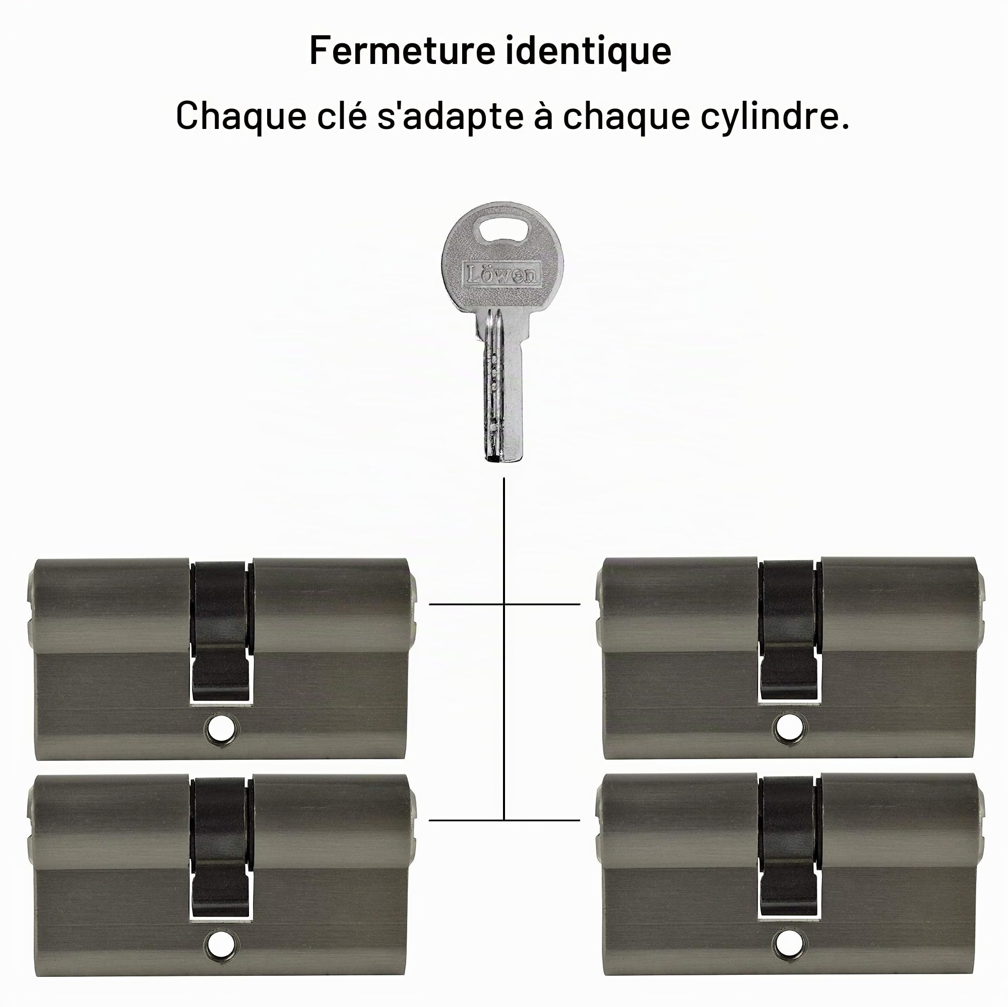 60 mm 4 x serrures à cylindre double 30/30 de serrure massif avec 20 clés réversibles A : 40 B Lot (60 30/30, profilé fermeture simultanée), (Zylinderschloss)