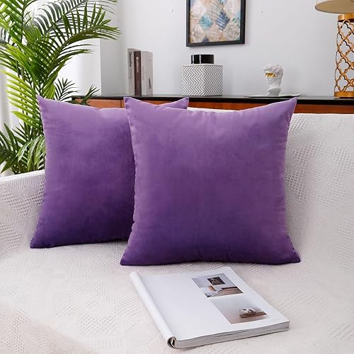 MoonRest - Paquete de 2, almohadas decorativas de terciopelo rellenas de plumón sintético alternativo, suave y acogedora con cremallera oculta,