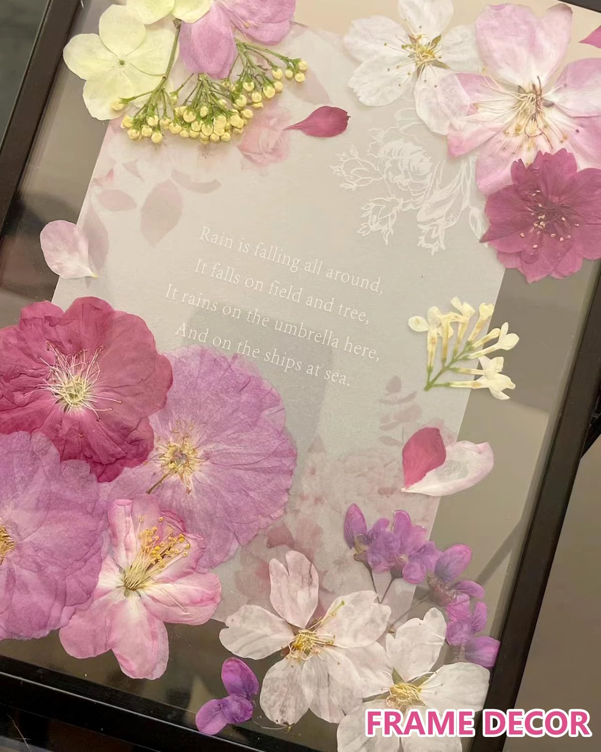 48 Stück gemischte Kirschblüten natürliche getrocknete gepresste Blumen für Kuchendekoration, echte trockene Blumen für Harzschmuckherstellung, DIY Kunsthandwerk – Rosa Sakura