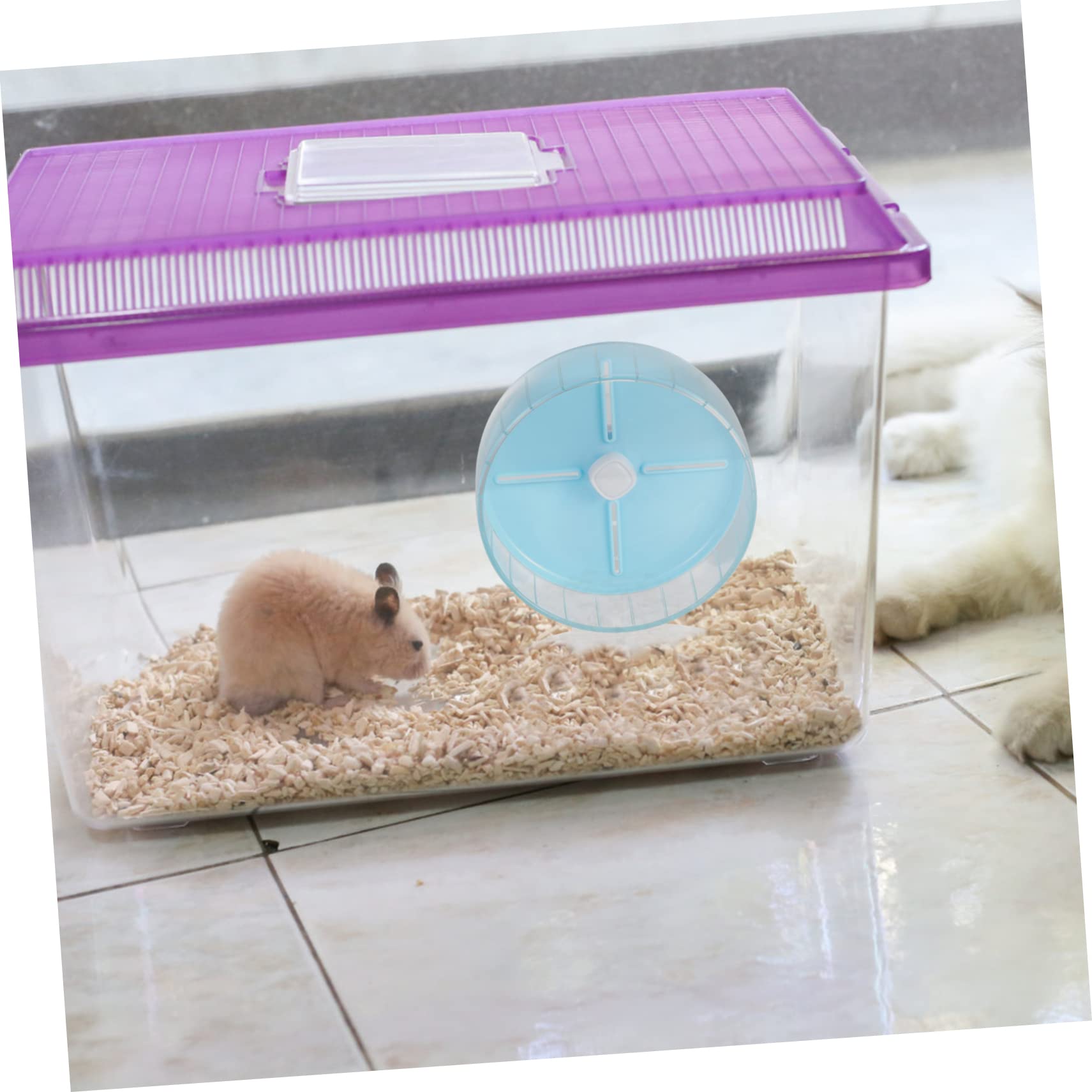 INOOMP 1pezzi Silenziosa Per Criceti Con Esercizi Per Come Criceti Gerbilli e Scoiattoli Facile Installare Resistente