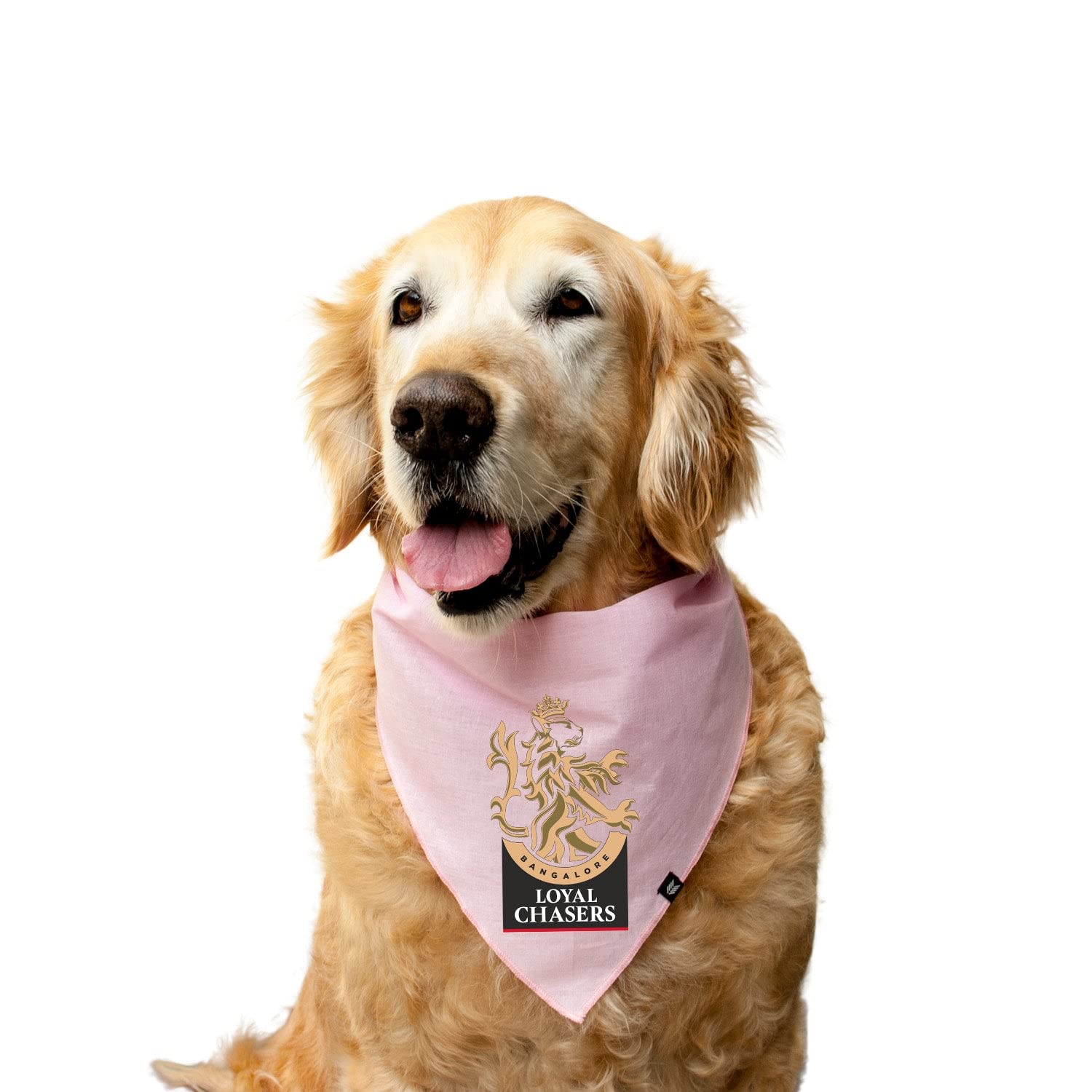 Ruse Round Neck Knotty Bandana for Dogs, IPL Loyal Chasers Bangalore Cotton Teams Dog Apron Printed Breathable Mealtime Scarf for Pet (Pink, Medium) (B0C3D95SKP) Amazon Price History, Amazon Price Tracker