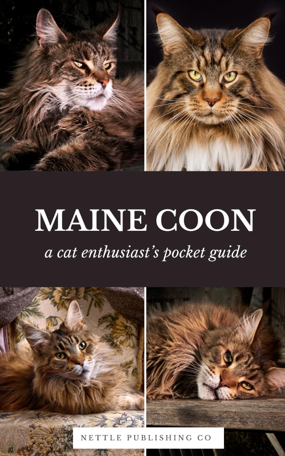 Maine Coon Cats | A Complete Pocket Guide Book: Breed-Specific Care Handbook With Pet Passport with Records Logbook (Cat Breeds by Nettle Publishing Co)
