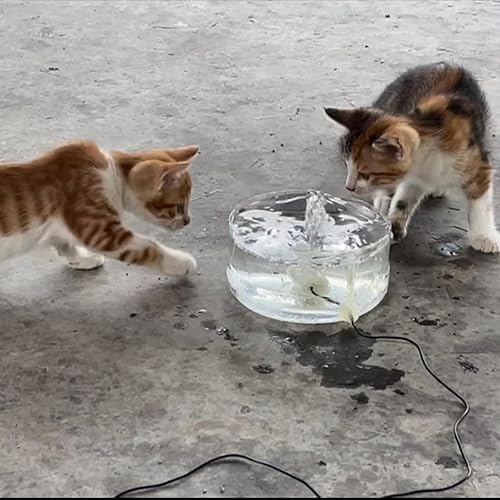 Miniatura 6 de 4 mini bombas de agua micro sumergibles de CC de 3 a 5 V con 2 tubos de vinilo transparente flexible de PVC (3.3 ft) para acuarios, pecera,