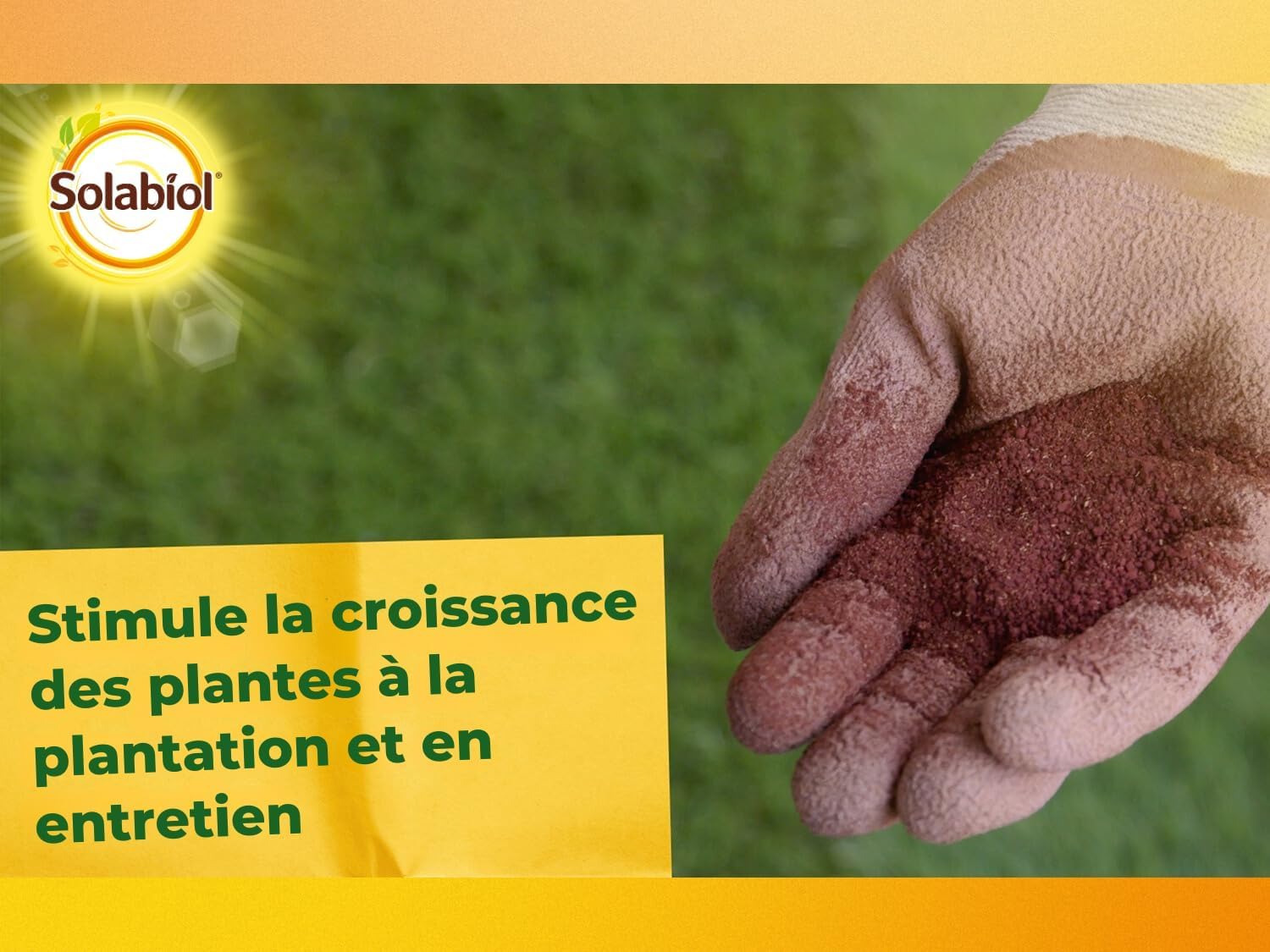 SOLABIOL Sang Desséché 4 Kg - Engrais Organique Azoté N12 - Action Rapide Coup De Fouet - Potager, Fleurs, Gazon, BIO
