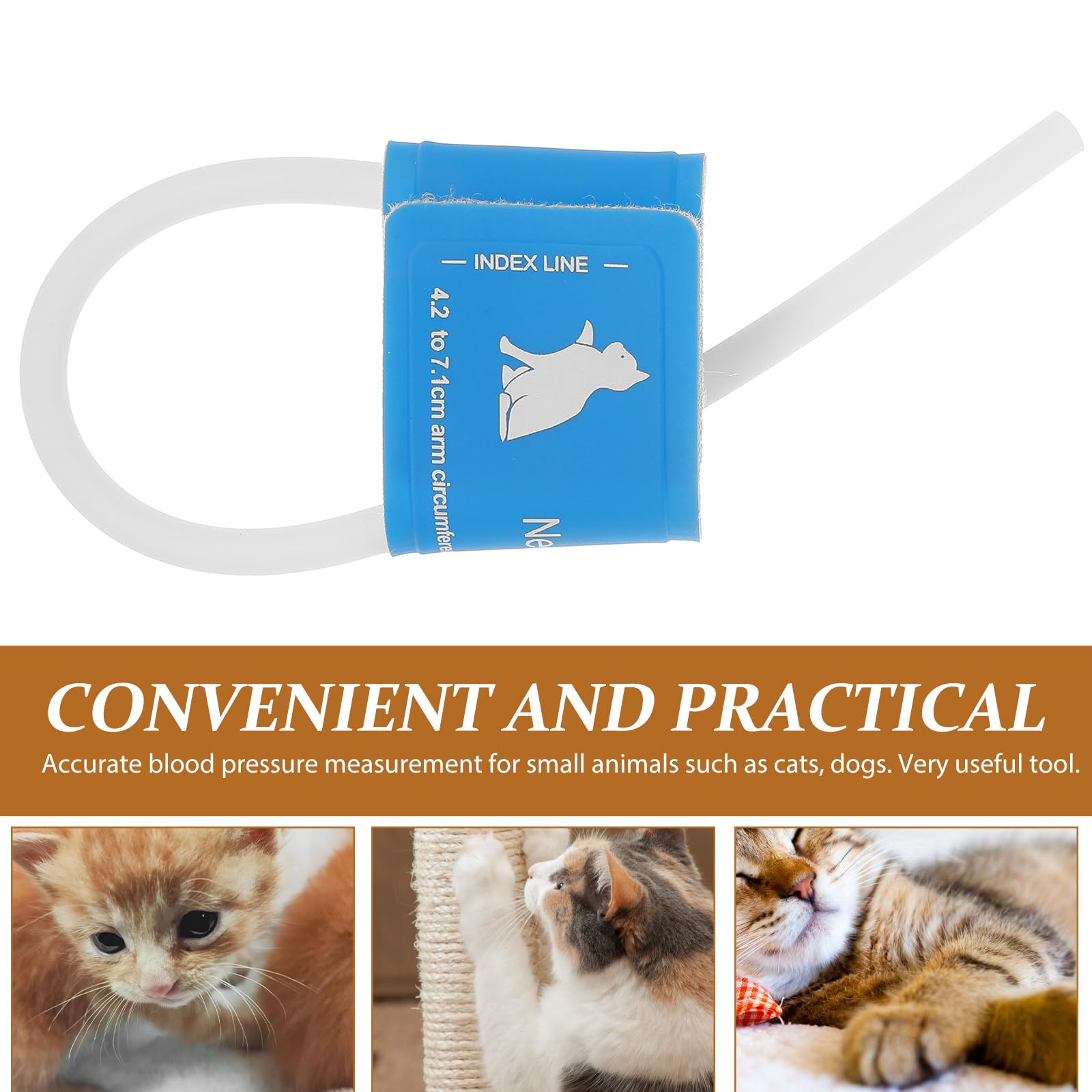 Manchon de Pression artérielle Accessoires pour vétérinaires Manchon de Pression pour Chien Accessoire vétérinaire Brassard BP Tensiomètre Fournitures pour Animaux de Compagnie