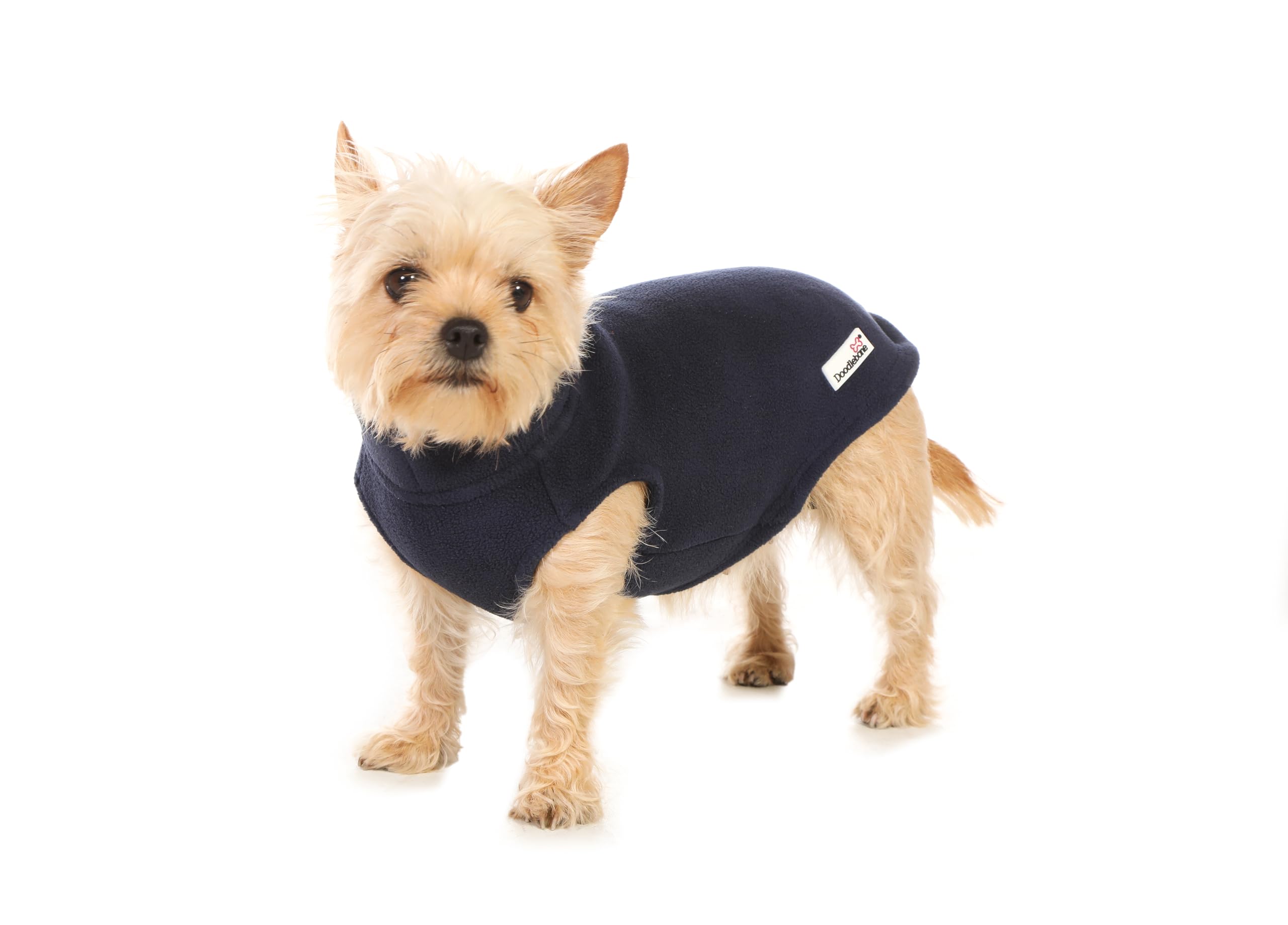 Doodlebone Dog Fleece (Indigo, 1)