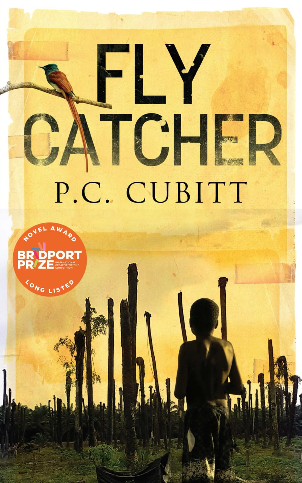 Fly Catcher: Little People Against Big Powers: Longlisted for the Bridport First Novel Prize