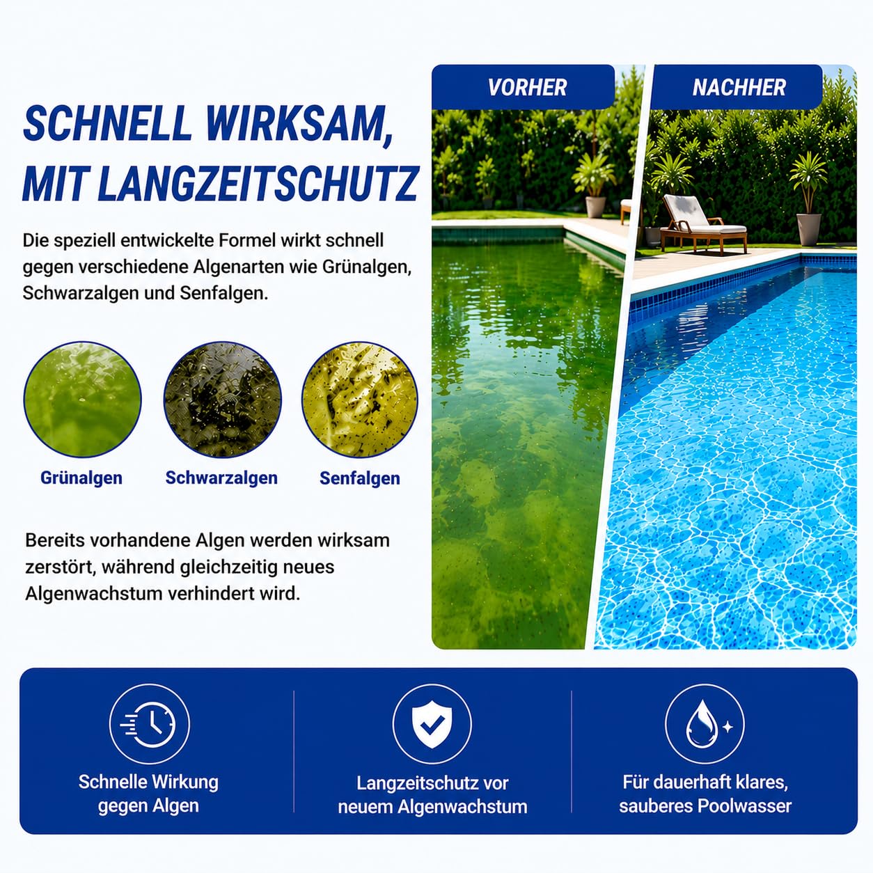 HERRLAN® ALGEN Stop PRO - 5 Liter Algenvernichter für Pool & Schwimmbad | Chlorfreies Algizid zur Algenbekämpfung im Pool, Langzeitformel für die regelmäßige Wasserpflege.