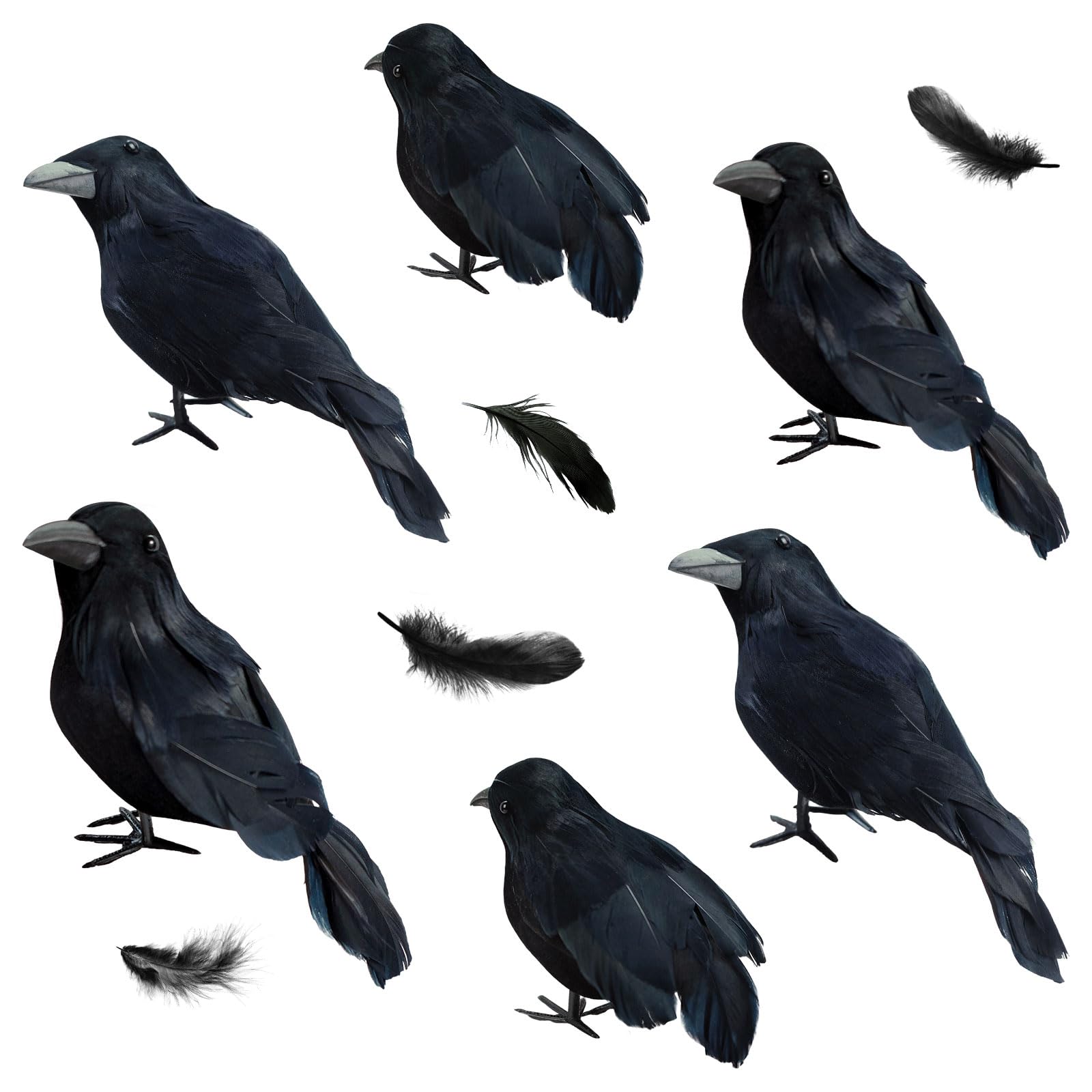 GCNBCNB 6 Pack Halloween Crow Decorations - Realistic Black-Feathered Crows  Halloween Decorations, Halloween Crows and Ravens Decor,Scary Black Ravens  Birds for Indoor Outdoor Decorations : Amazon.ca: Home