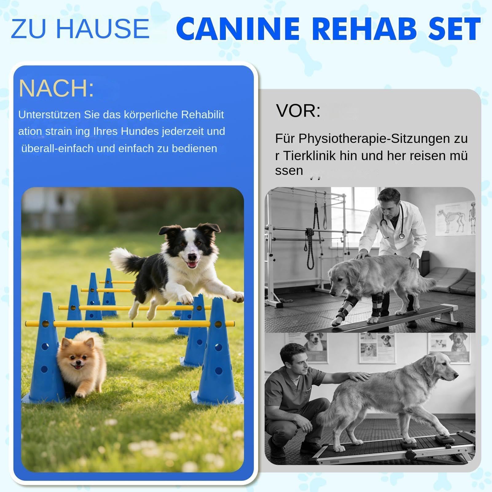 Curso de Agilidad para Perros para Jardín Accesorios Portátiles para | Set de Agility con Conos y Palos para Entrenamiento de Cachorros para Competición, Juego, Ejercicio en Interior, Ext