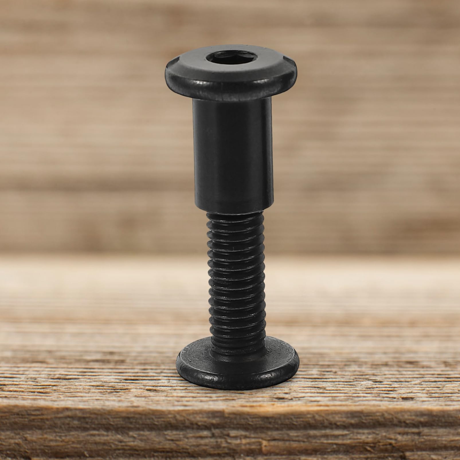 HOMSFOU Sets Countersunk Belt Nuts Binding Post Screws Kit for Purses Belt Repair DIY Projects