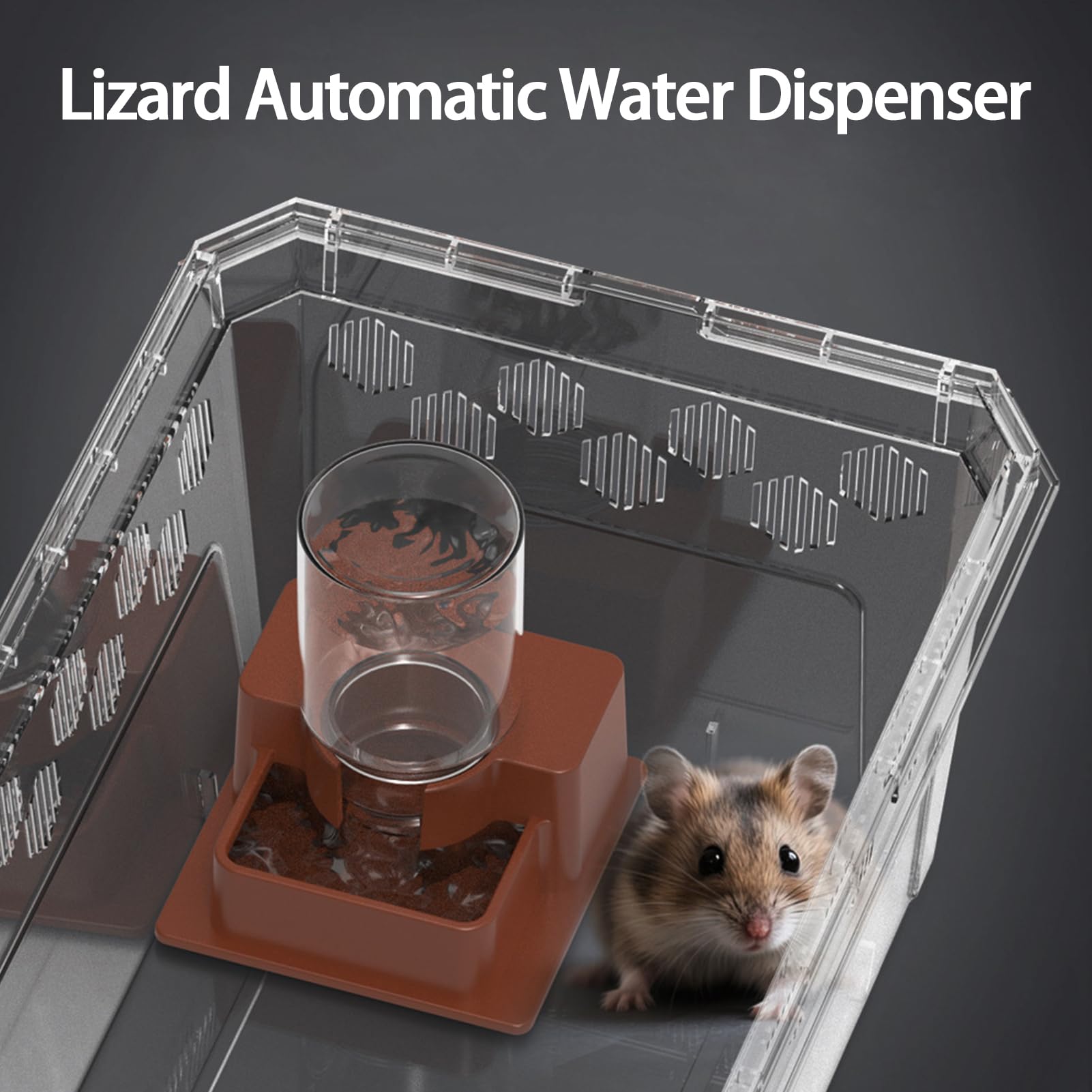 Masoog Fuente de Agua de Dragón Barbudo,Cuenco Automático Desmontable para Reptiles - Bebedero para Lagartos y para Serpientes de Terrario | para Camaleón, Gecko, Rana, Ermitaño, Anfibios, Terrario y — view 5